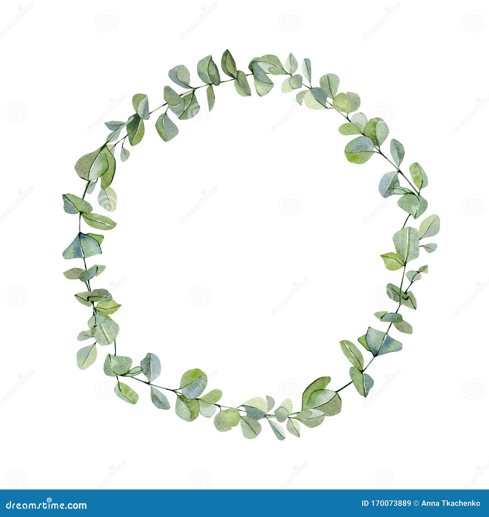 watercolor wreath with hand painted silver dollar eucalyptus. green branches and leaves  on white background. floral illu