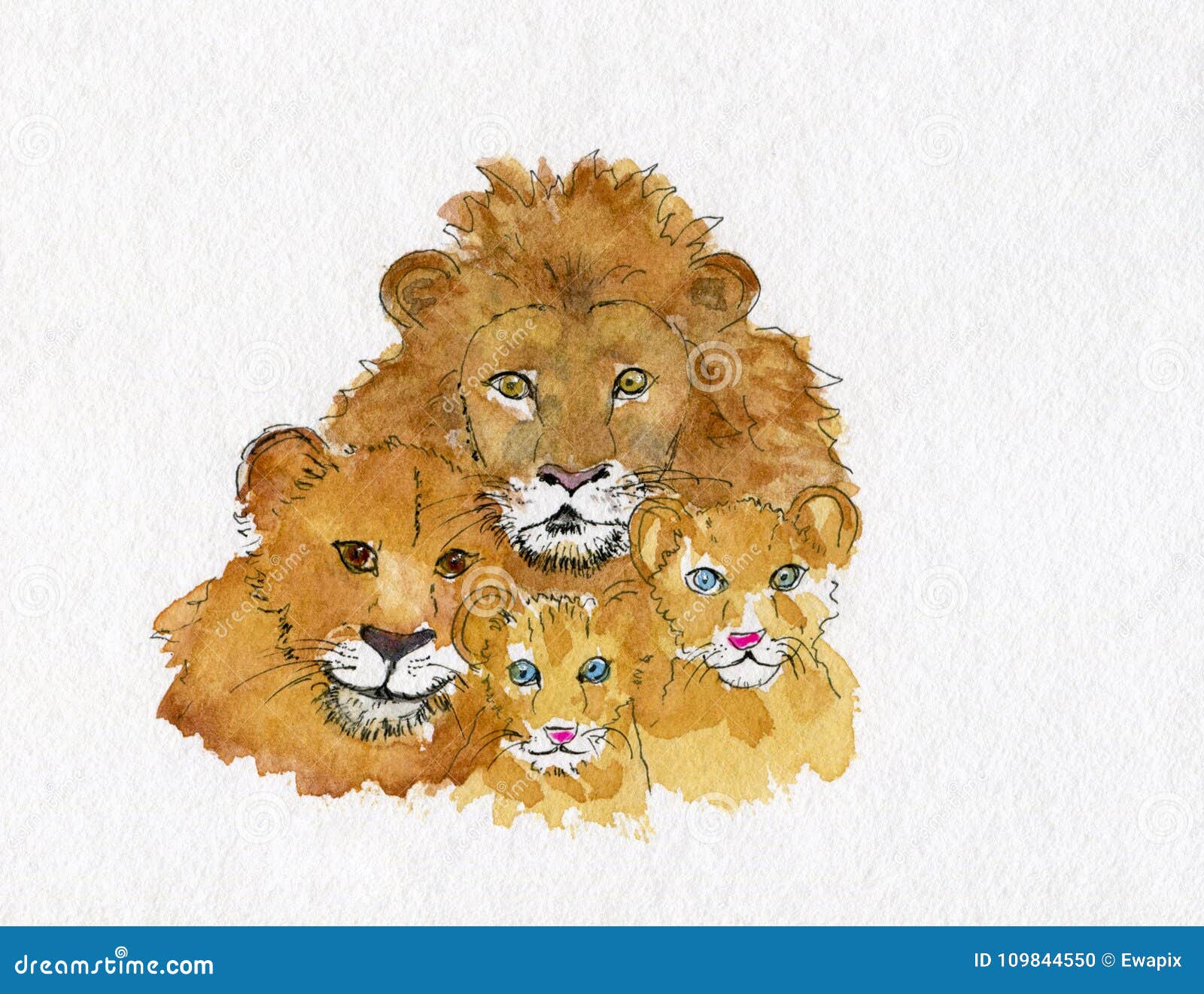 lion cubs with father and mother