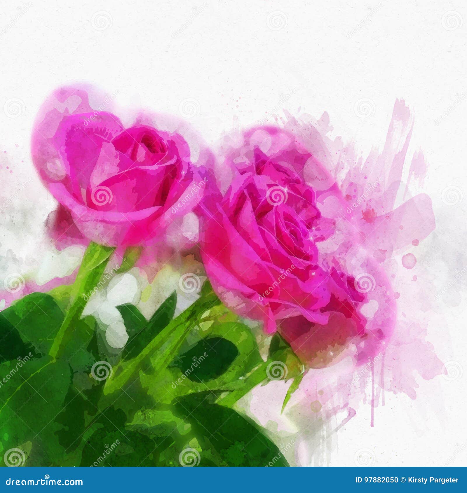 Watercolour roses stock vector. Illustration of watercolour - 97882050