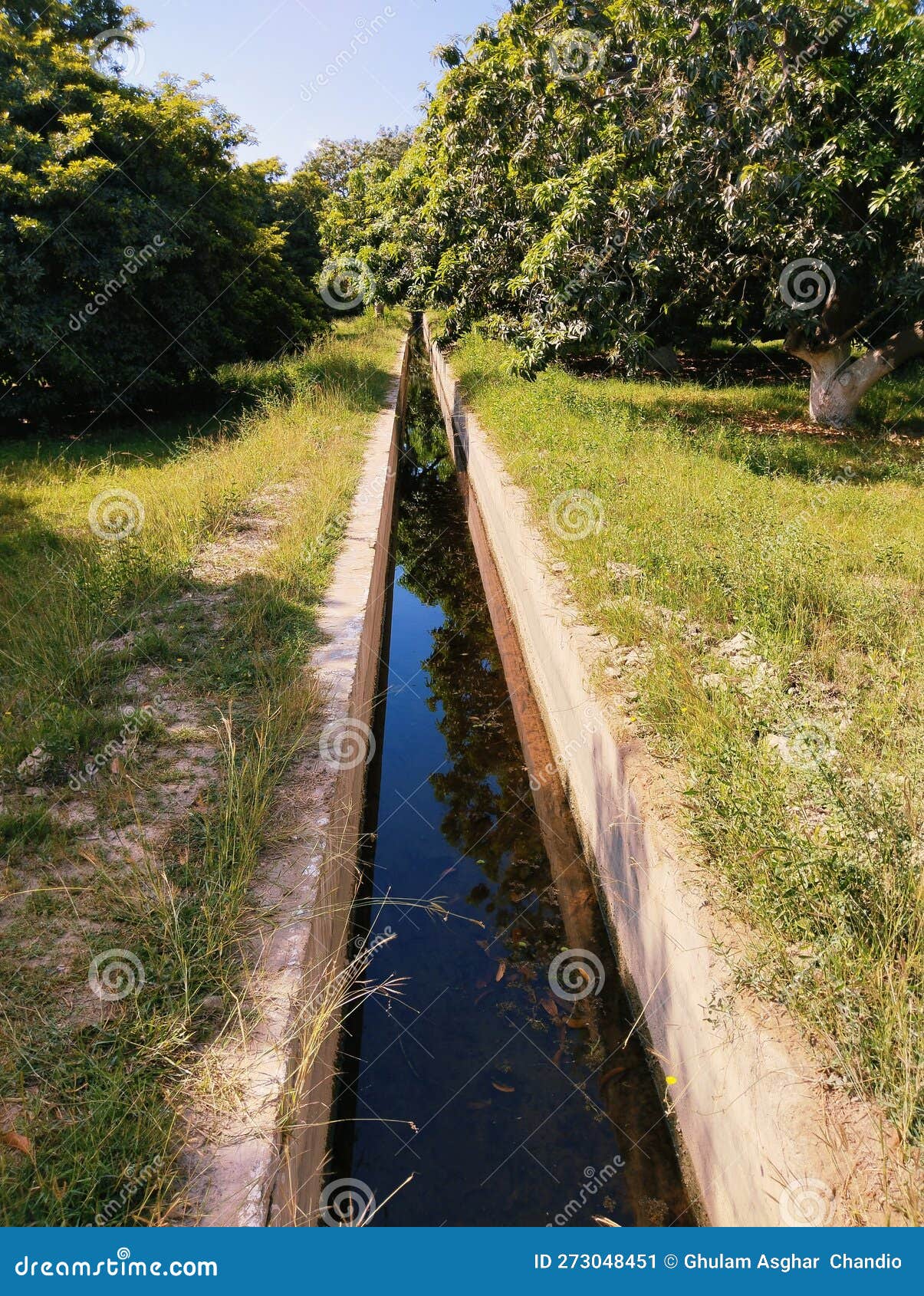 watercourse lined-watercourse irrigation irrigation-course open irrigation-channel cours deau corriente agua curso-agua photo