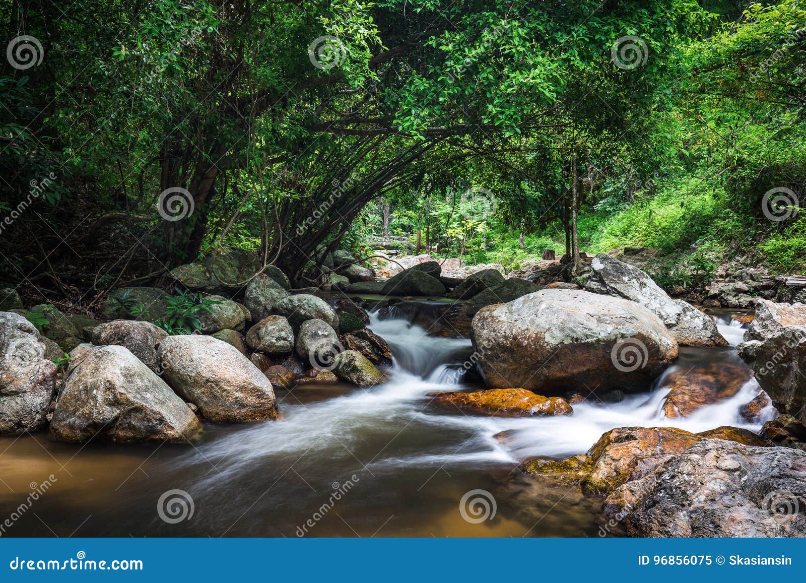 watercourse of rocks in tropical woods
