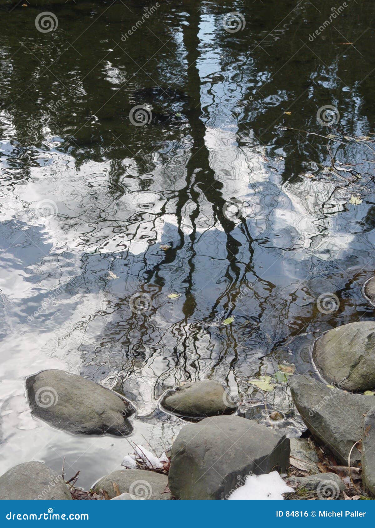 Watered Down Trees stock photo. Image of waves, stones, clouds 84816