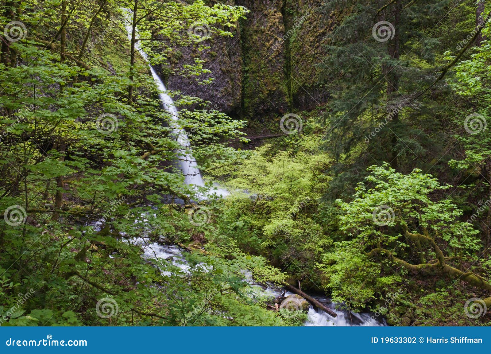 Waterfall stock photo. Image of flowing, state, troutdale 19633302