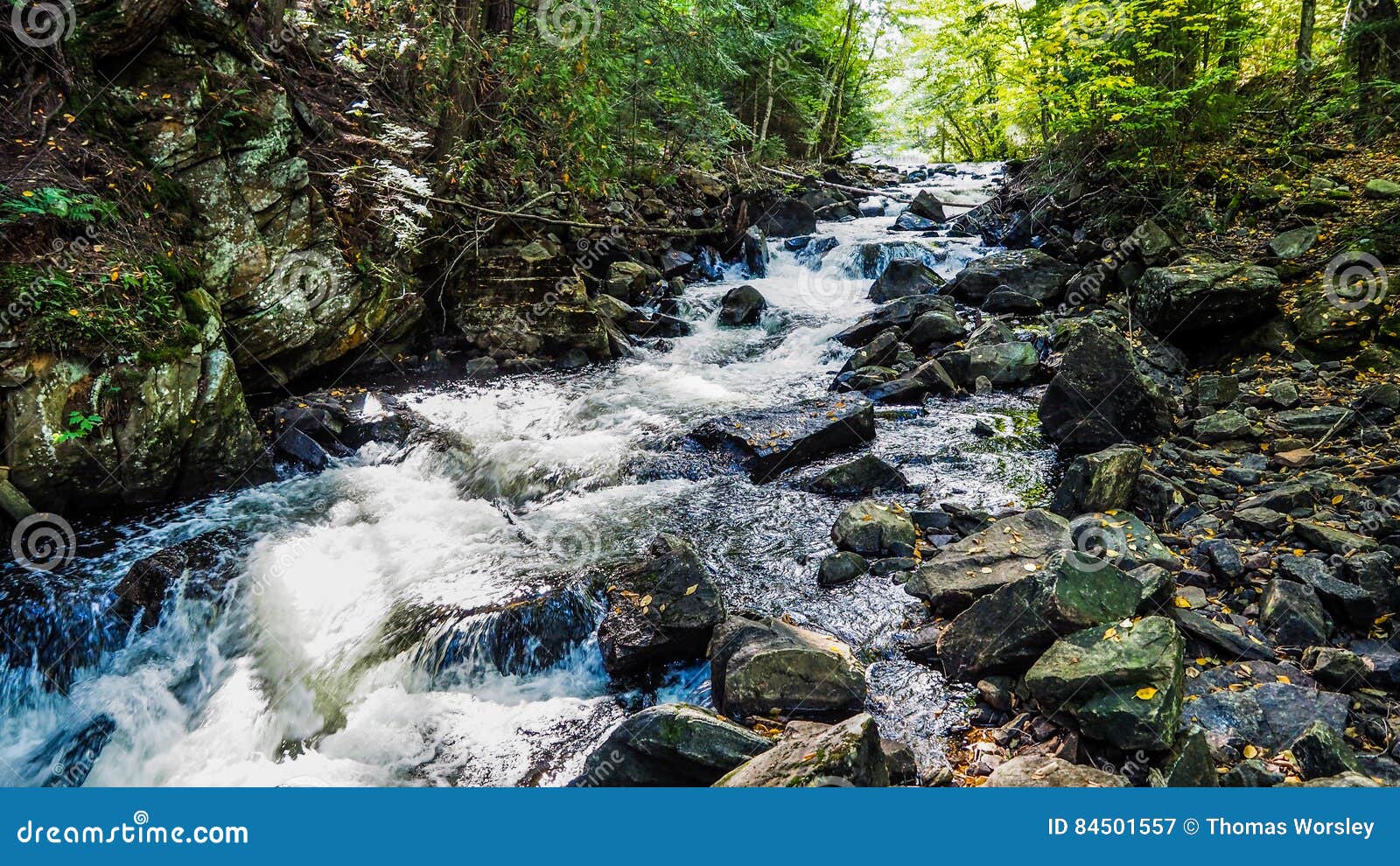 algonquin hiking trails