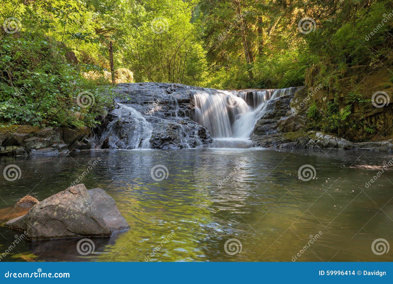 Waterfall Along Sweet Creek in Oregon Closeup Stock Photo Image of
