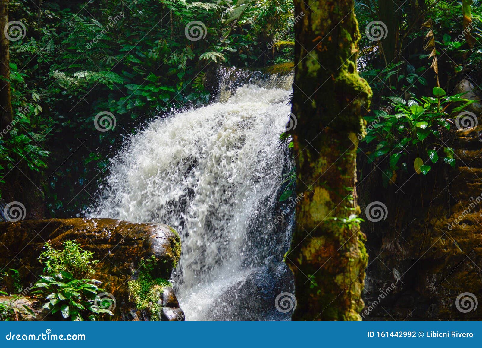 Waterfall in the Amazonian Rainforest Stock Photo Image of water