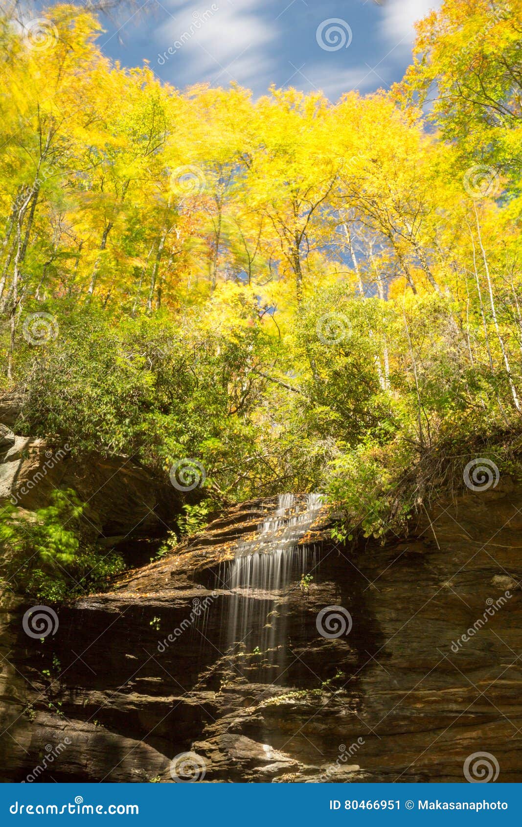 waterfall in the appalachians