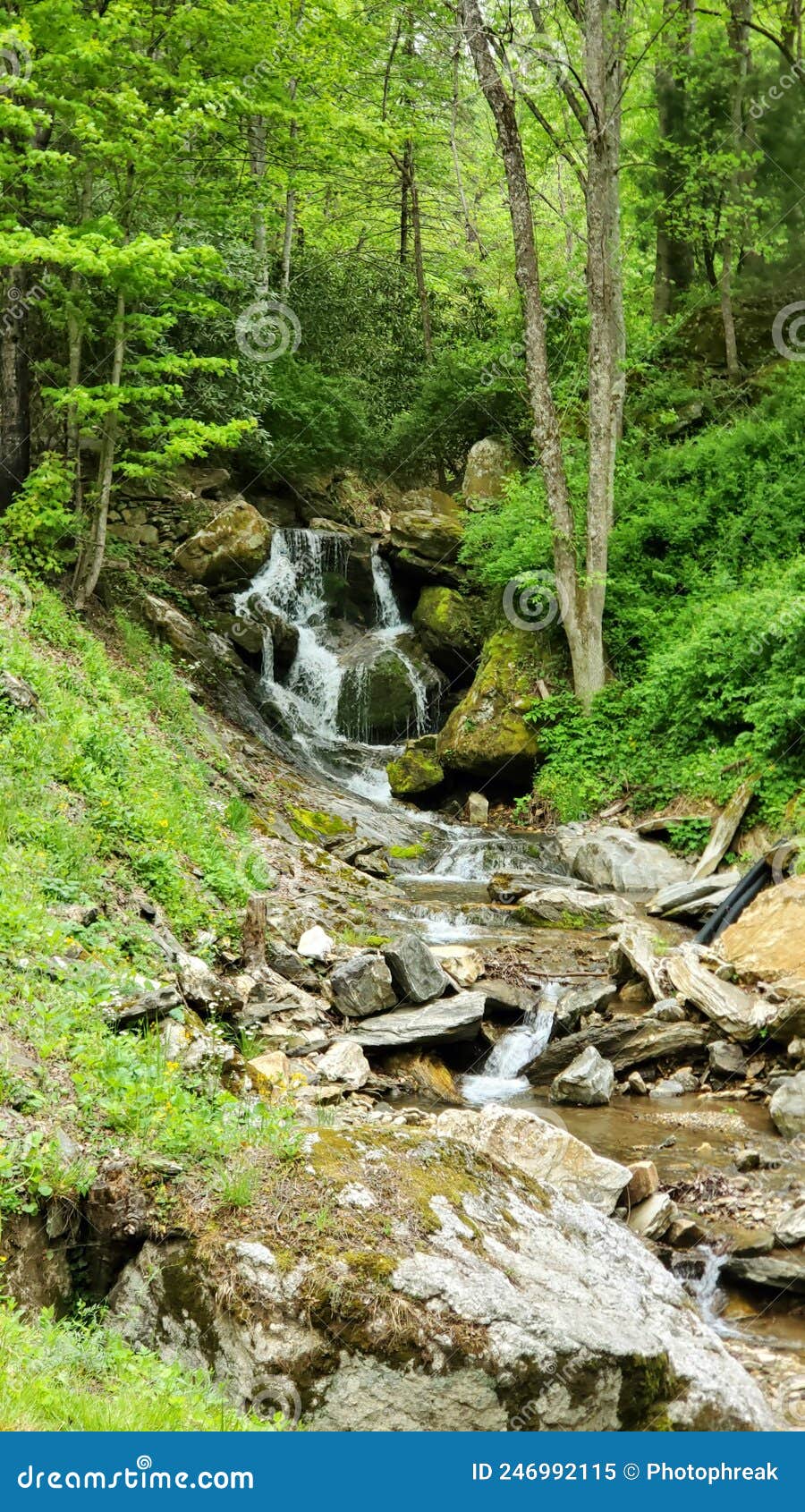 waterfall in the blue ridge mountians in spring