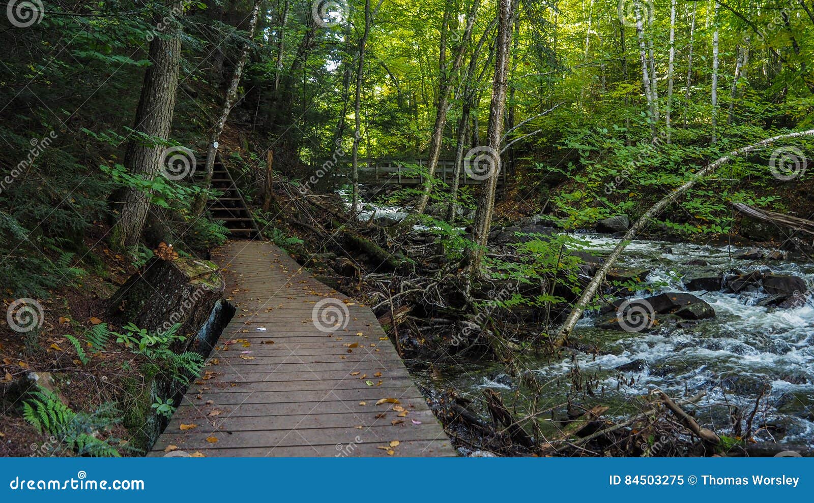 algonquin park hiking trails