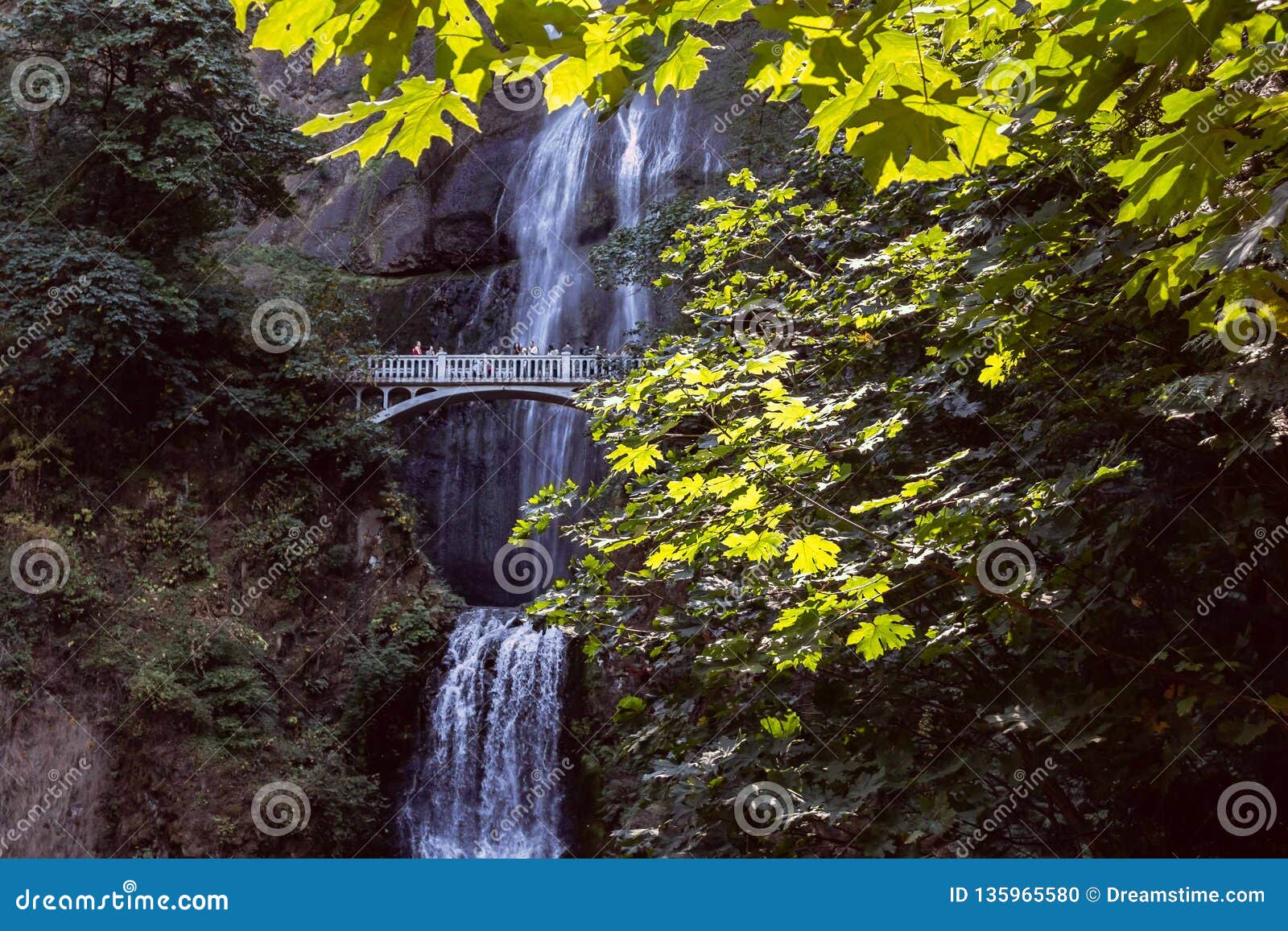 bridge waterfall oregon bridge waterfall oregon