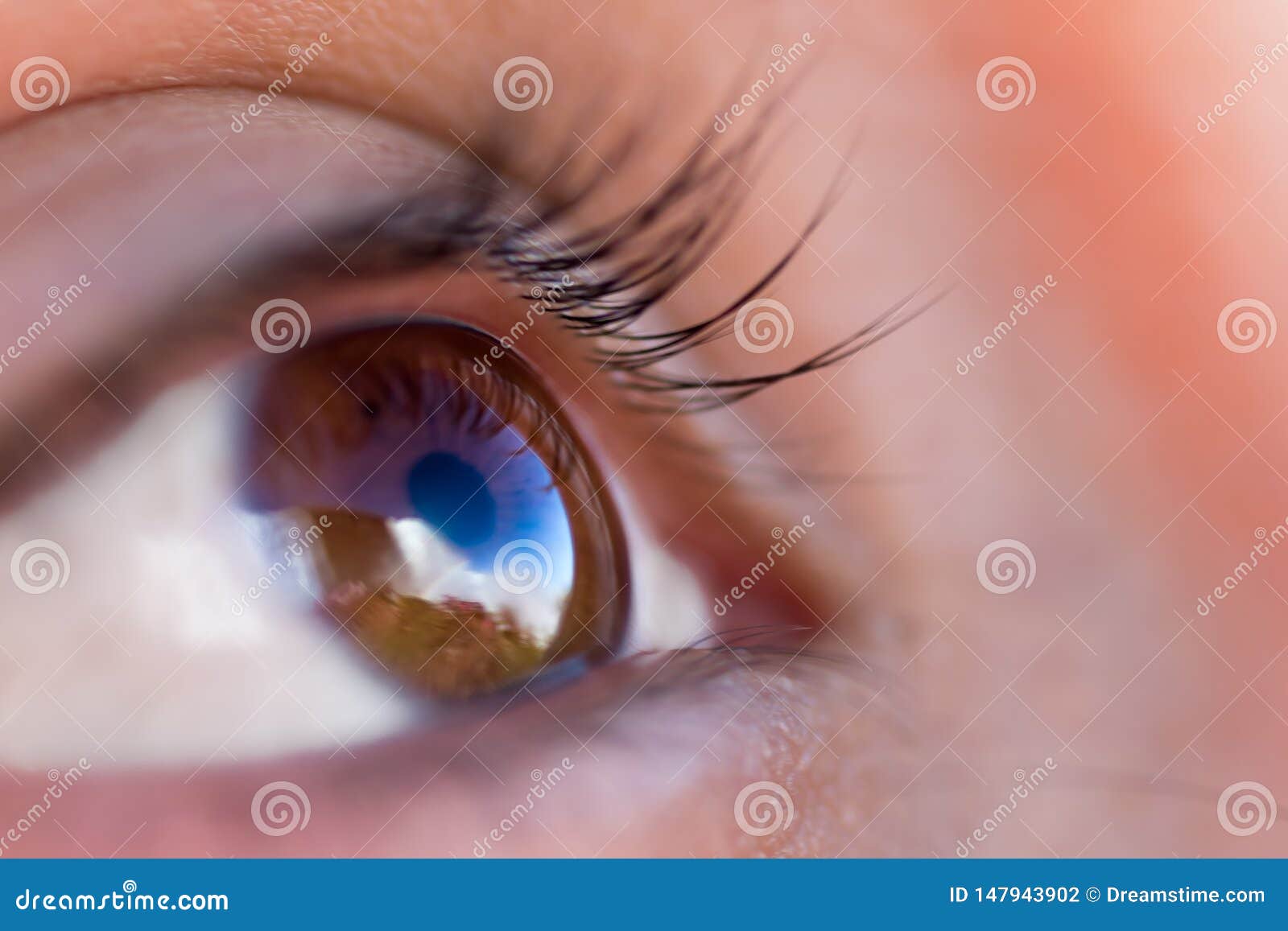 Waterfall brown eye stock photo. Image of nature, waterfall 147943902