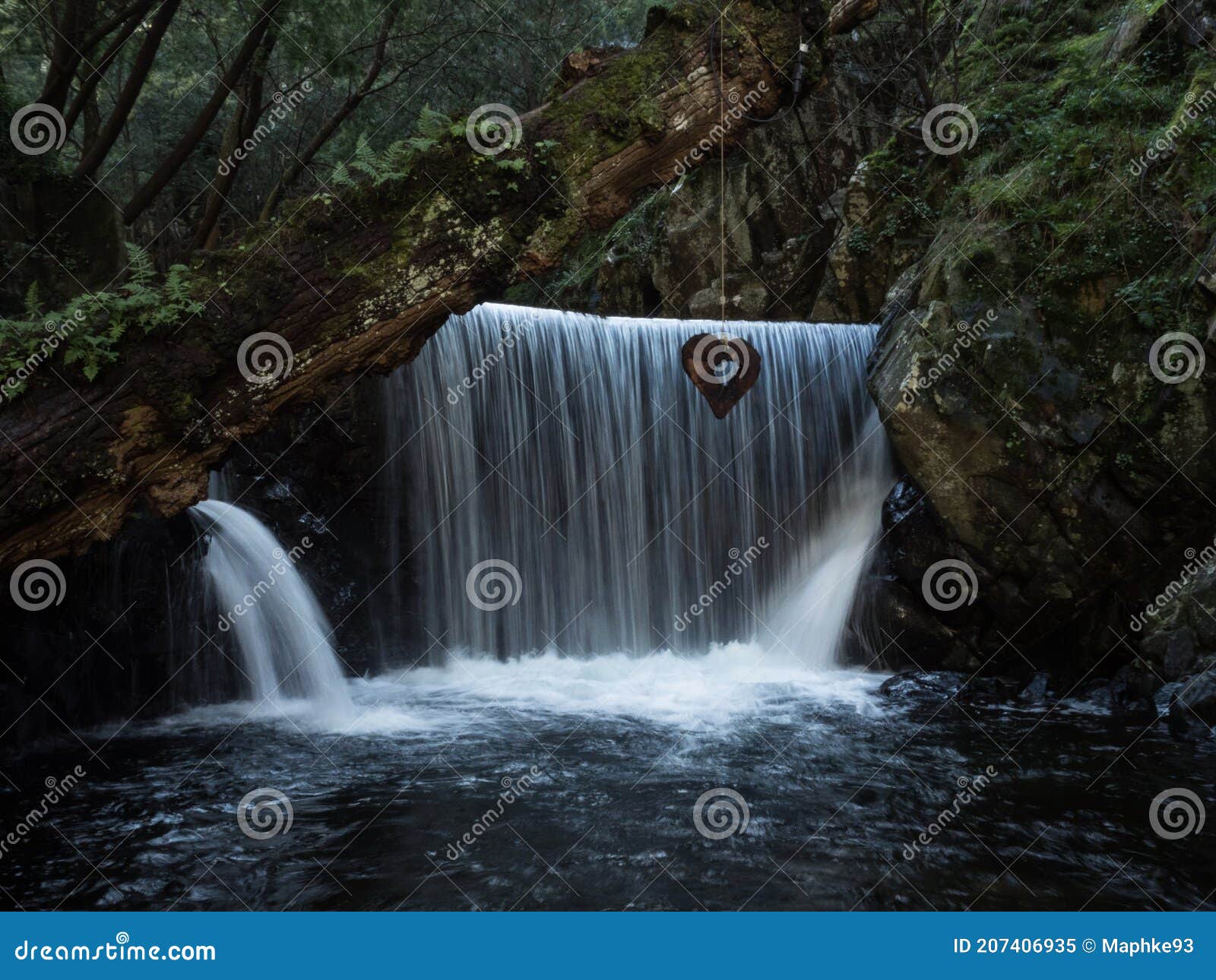 Cascade Carvers