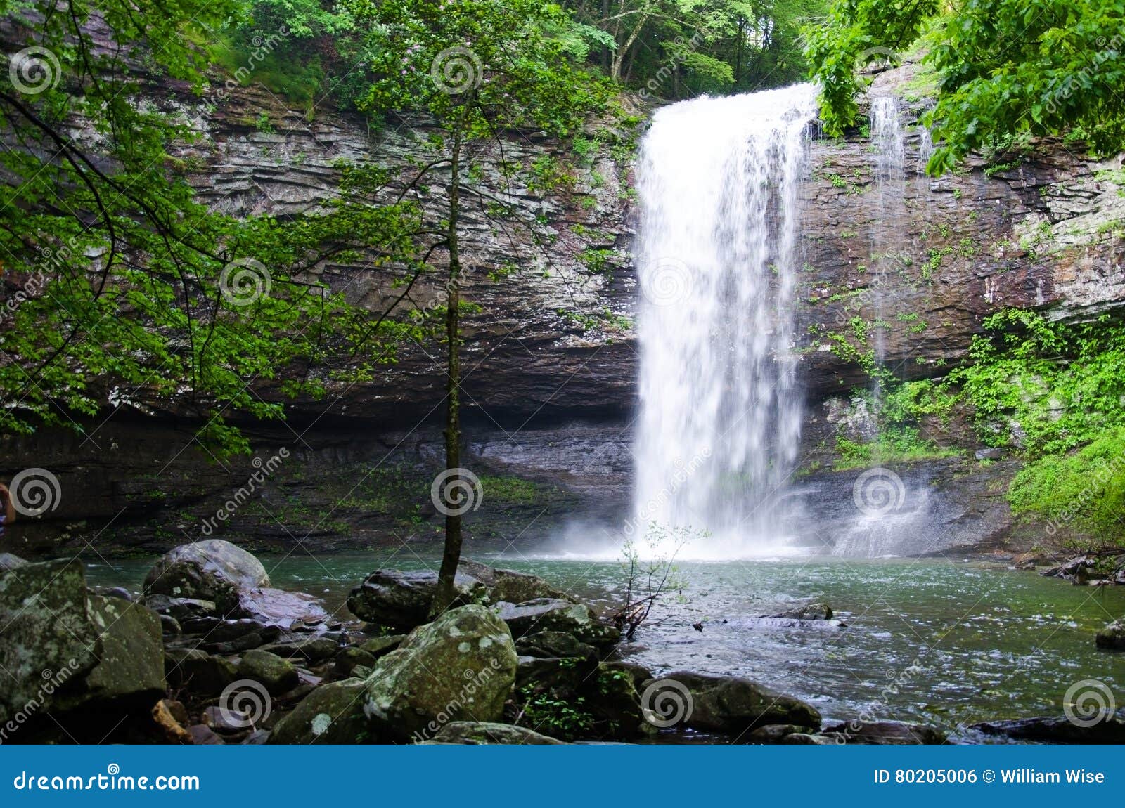 Waterfall in Cloudland Canyon State Park Stock Photo Image of
