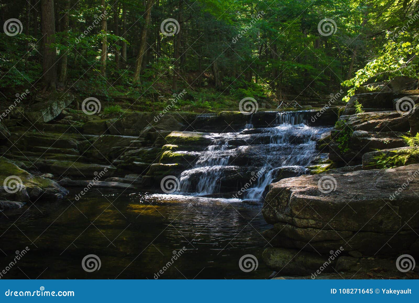 Waterfall Deep in the Forest in Granville, Massachusetts Stock Image