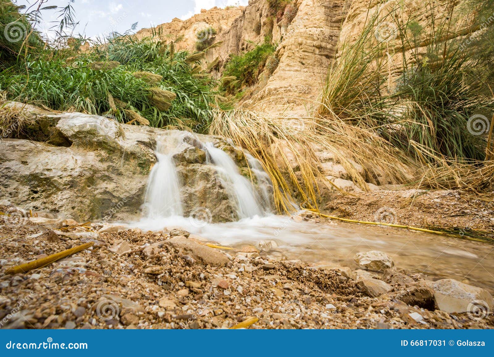Waterfall in En Gedi Nature Reserve and National Park Stock Image