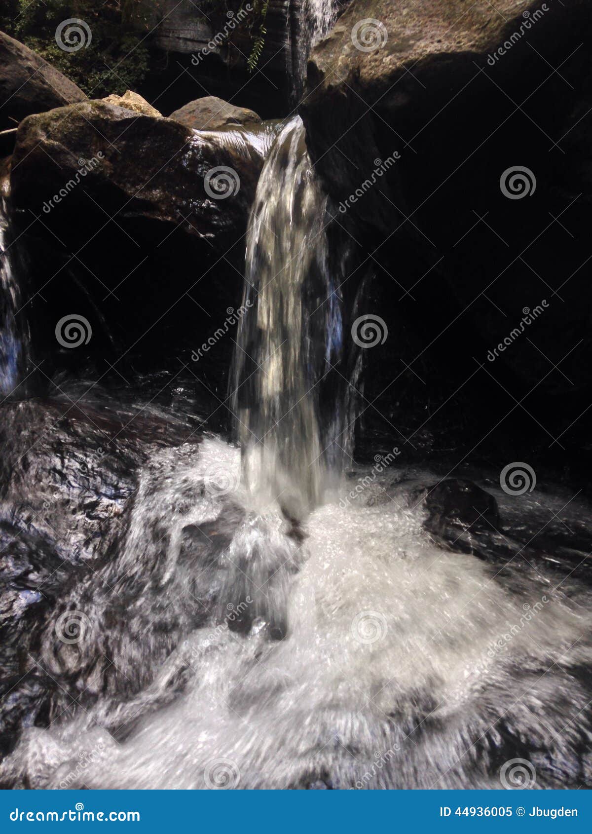 My Image 21