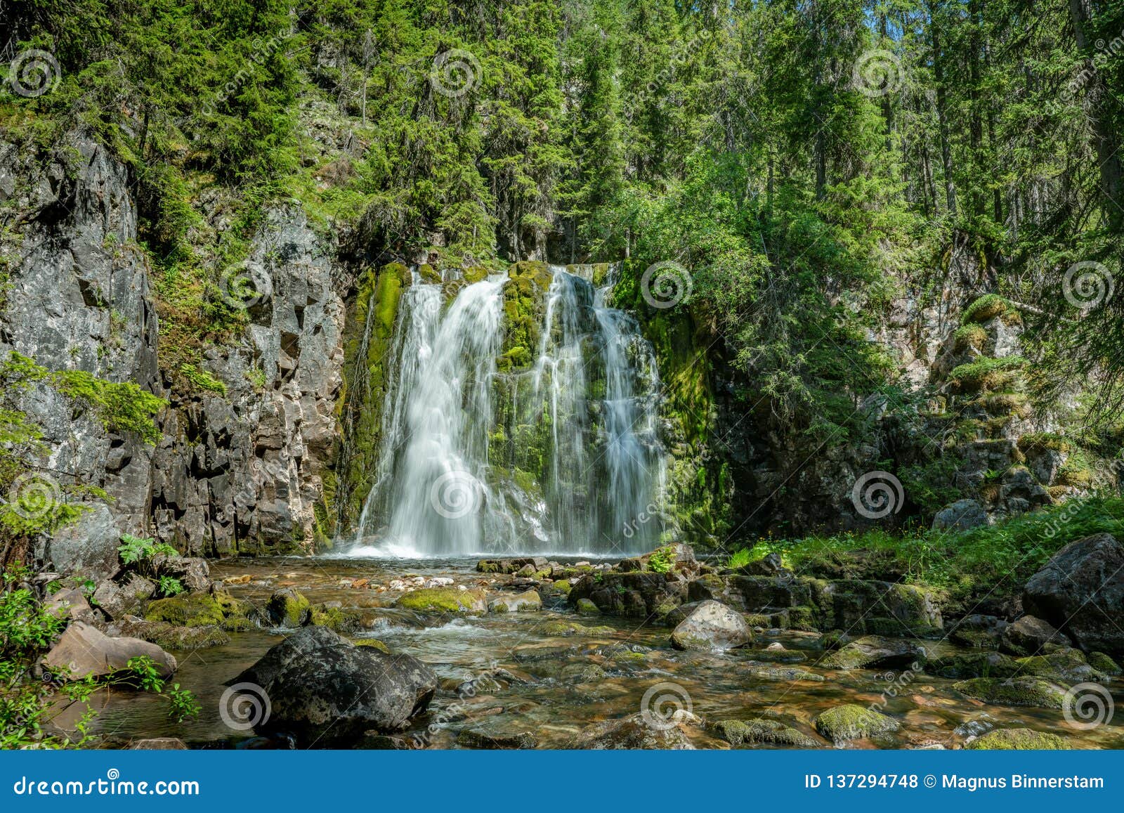 Waterfall Flushing Down A Green Moss Covered Rock Wall Stock Photo