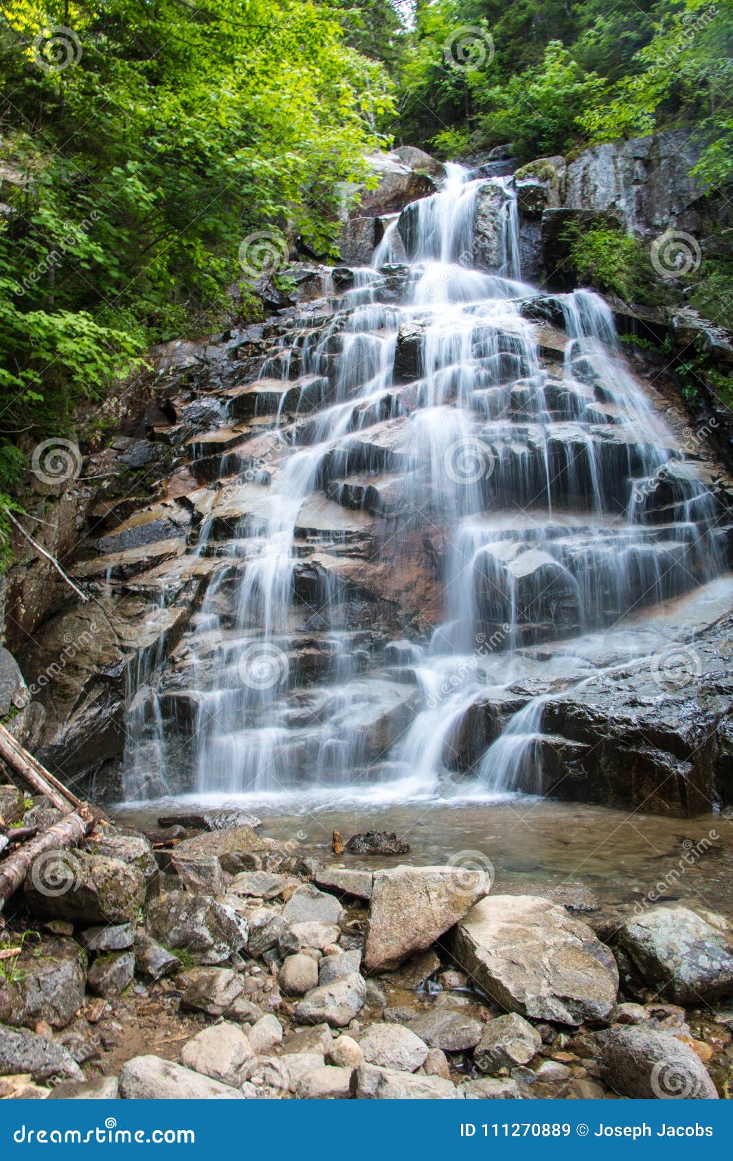 waterfall in forest