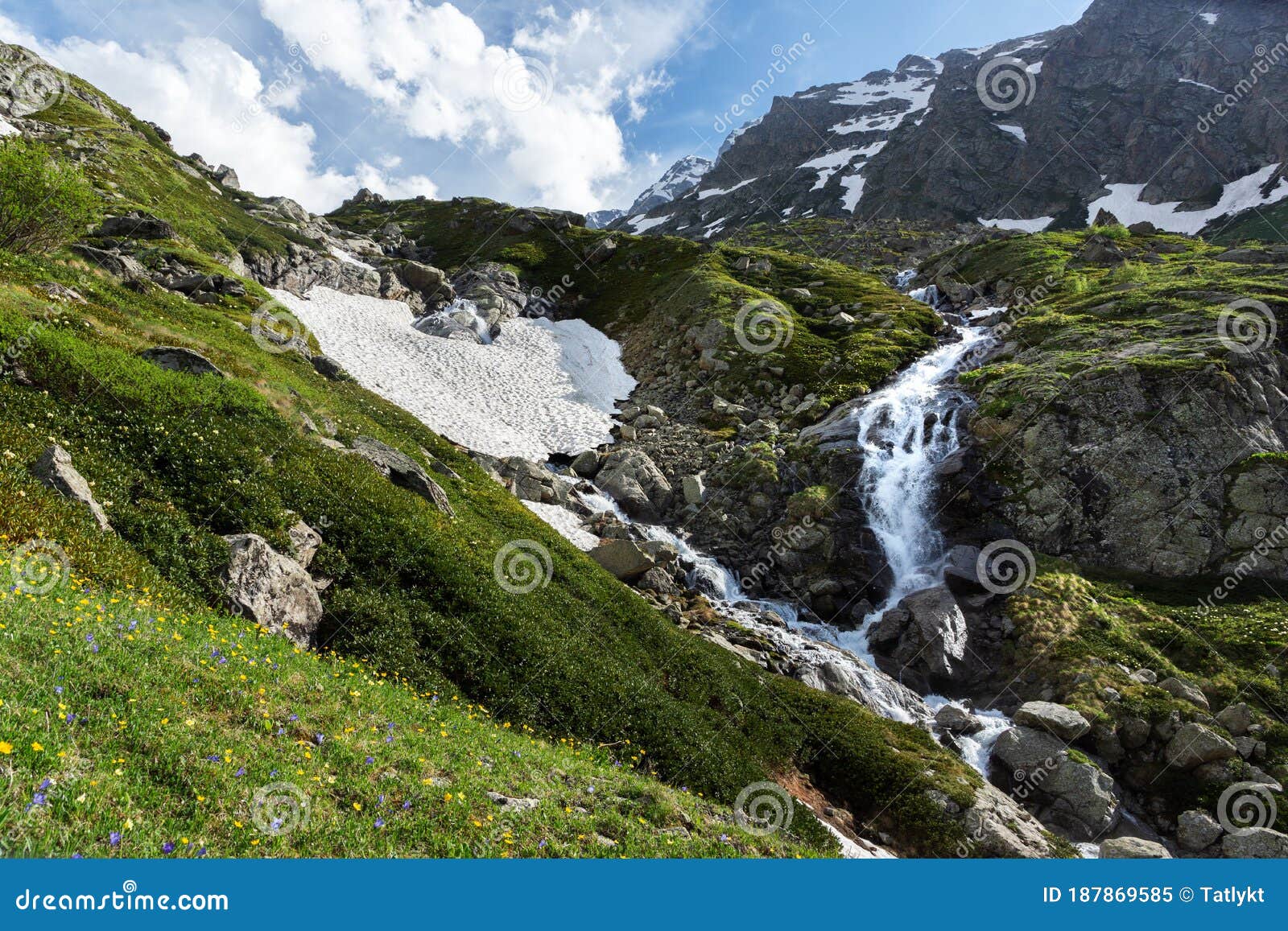 Waterfall And Glacier In The Mountains In Summer Flowering Meadow