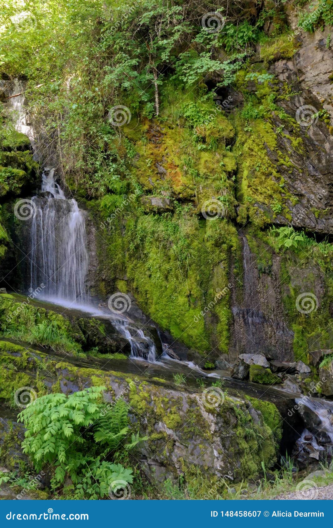 Waterfall And Green Mossy Rocks Stock Image Image Of Trees Woods