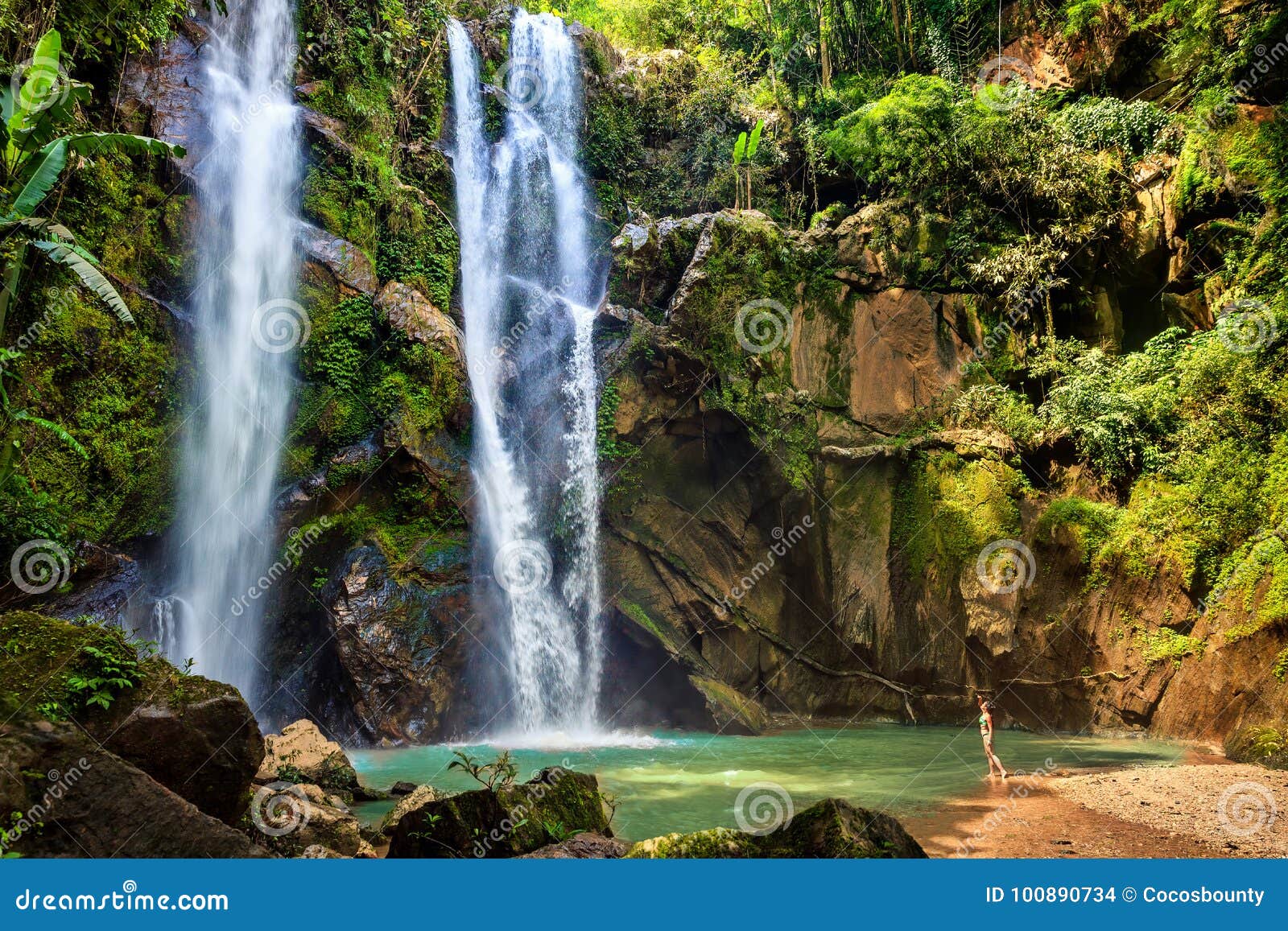 Waterfall Hidden in the Tropical Jungle Stock Photo - Image of background,  enjoy: 100890734