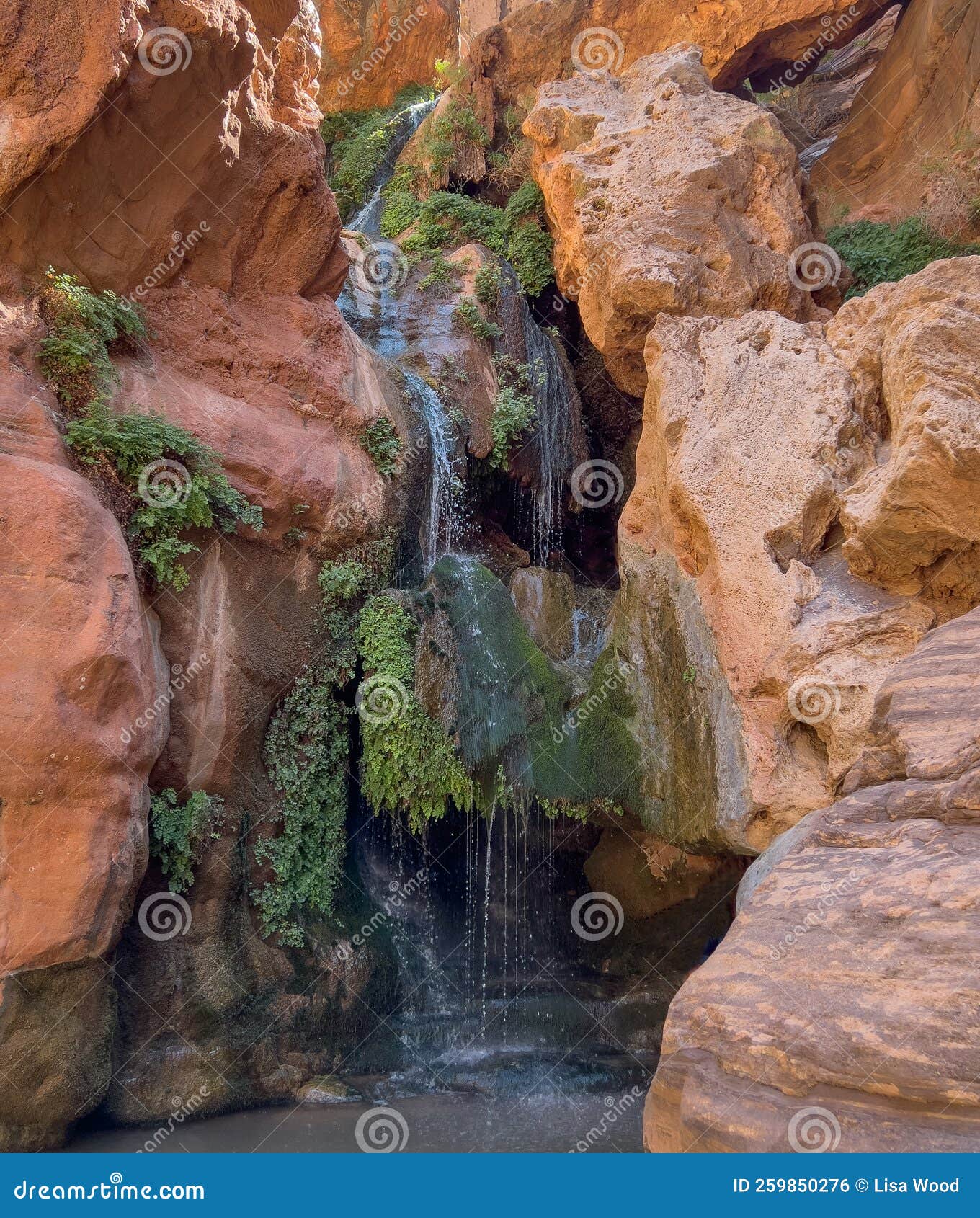 Waterfall Hikes in the Grand Canyon Stock Photo Image of wilderness