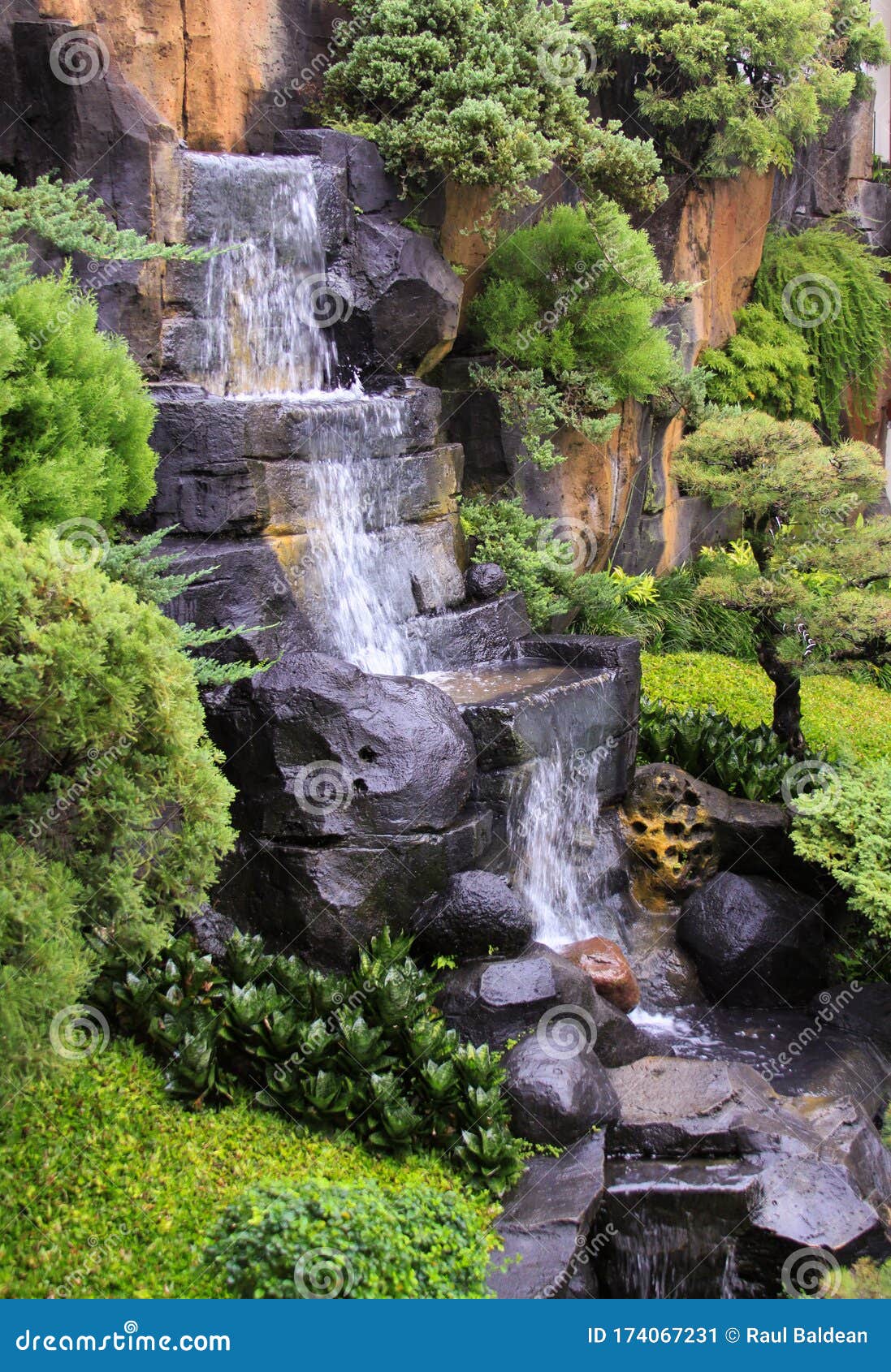 Waterfall In Interior Patio Garden With River And Lush Vegetation In Yogyakarta Java Indonesia Stock Image - Image Of Black Fish 174067231