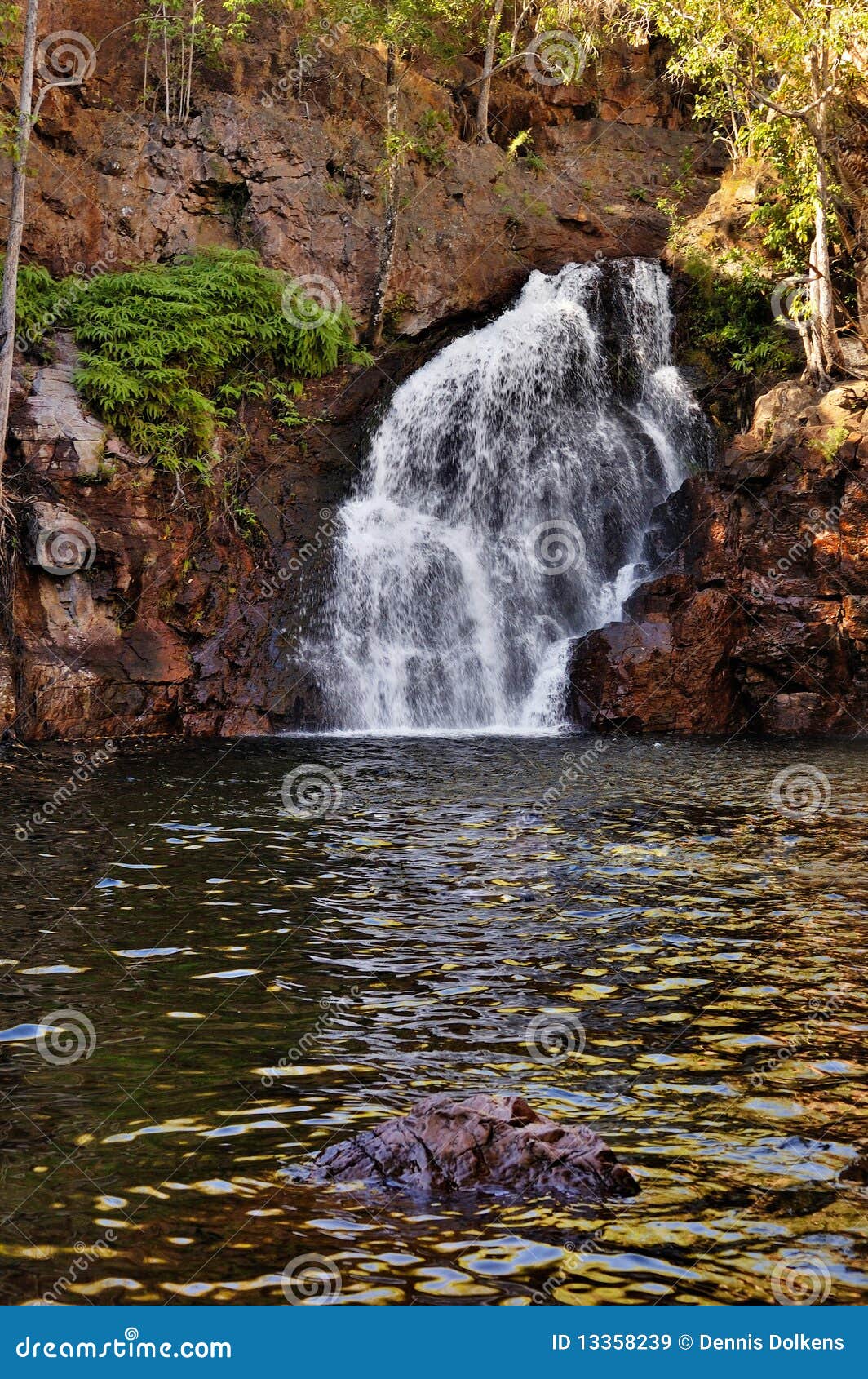 waterfall in litchfield, australia
