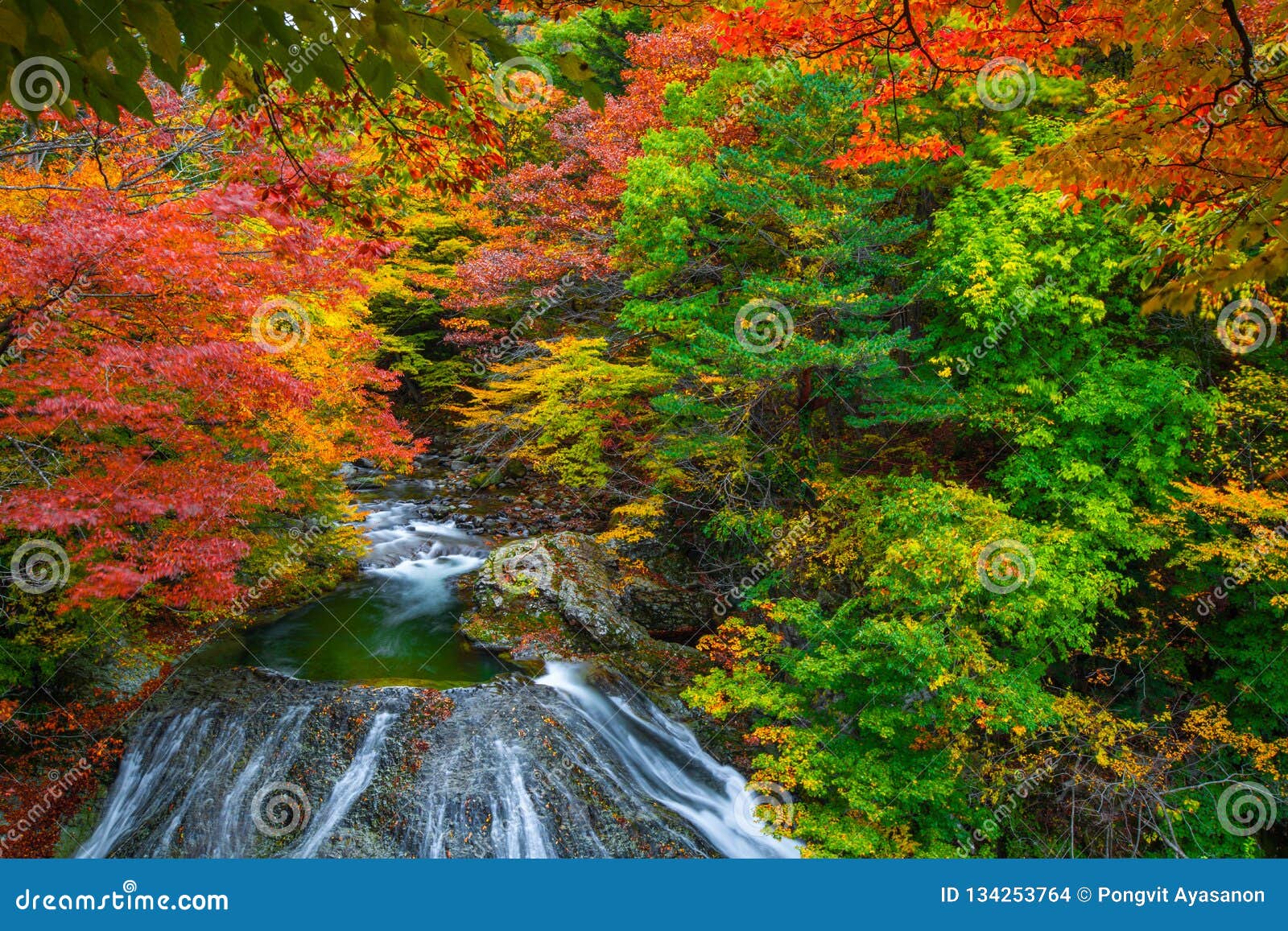 Waterfall Among Many Foliage In The Fall Leaves Leaf Color Change In