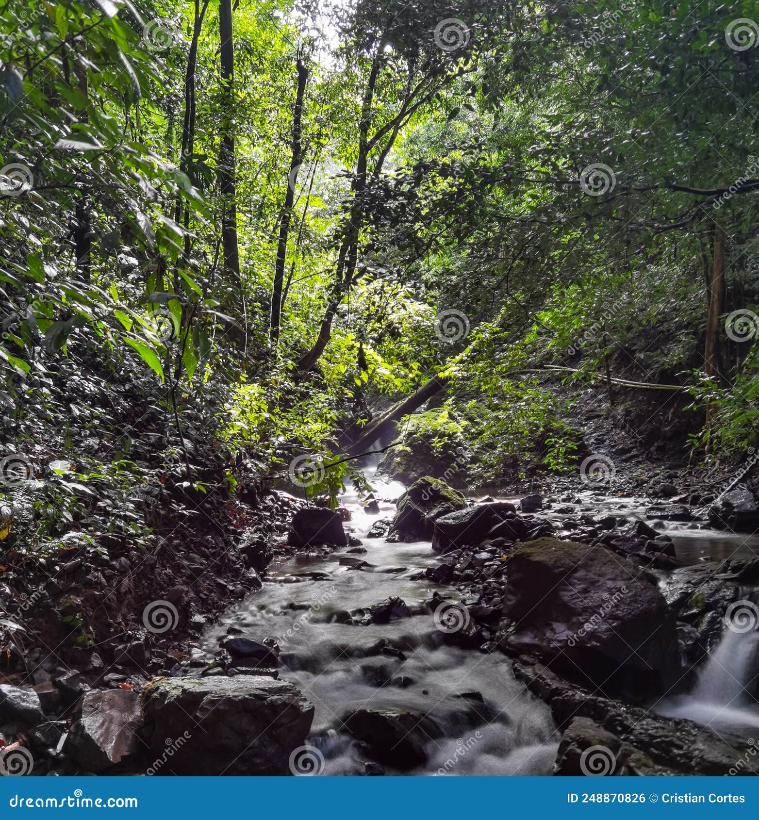 waterfall in mata oscura mariato