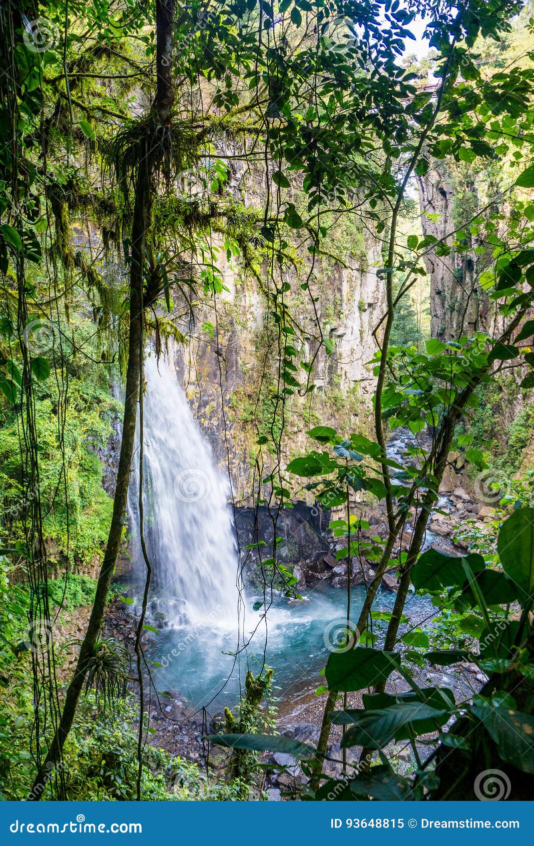 waterfall of mexico xico veracruz fog forrest