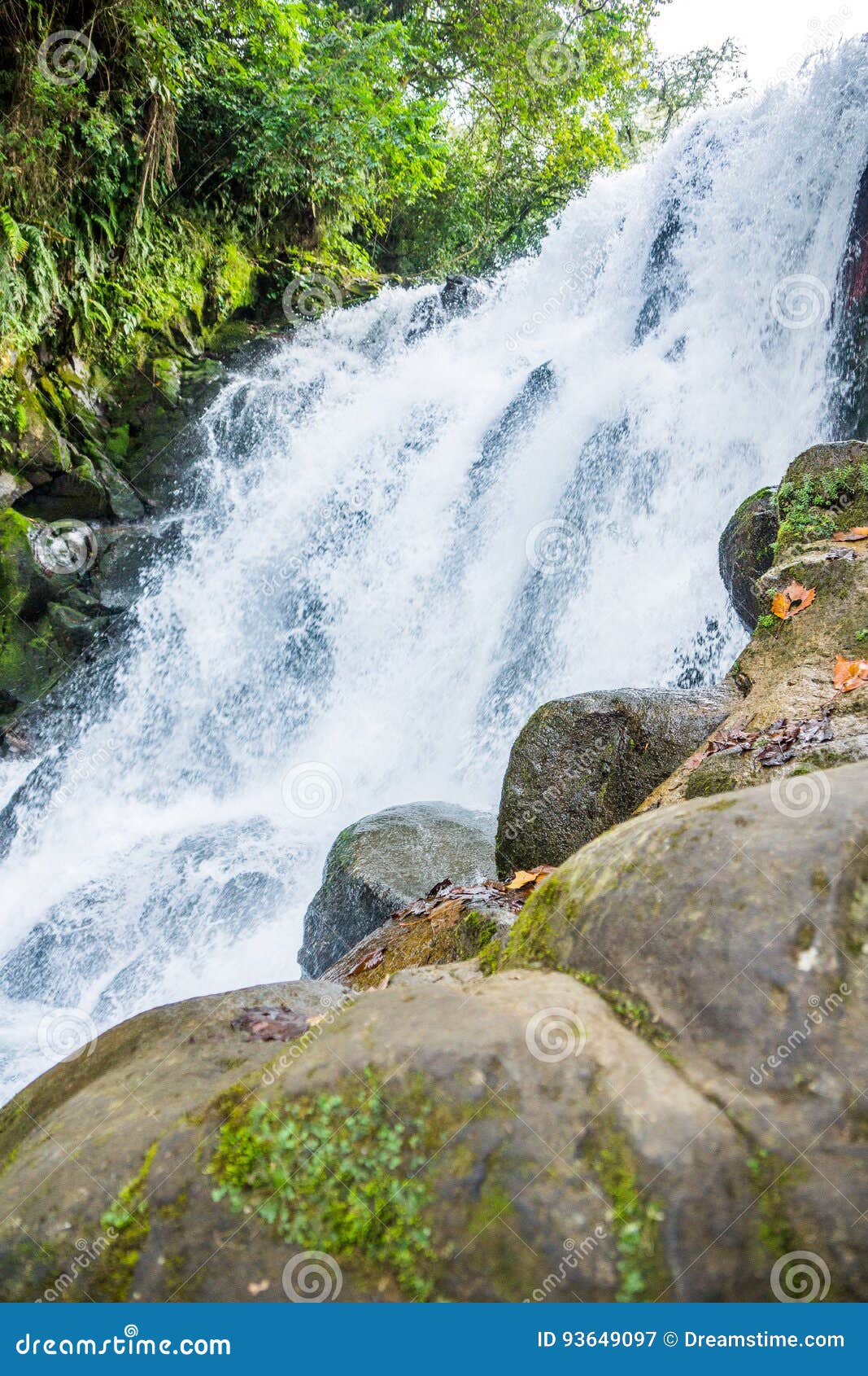 waterfall of mexico xico veracruz fog forrest