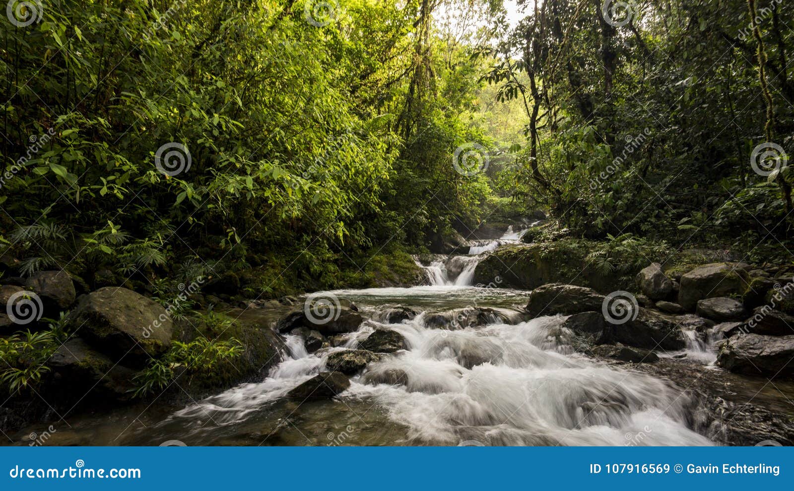 a waterfall, mountain river in chocÃÂ³ rainforest, colombia