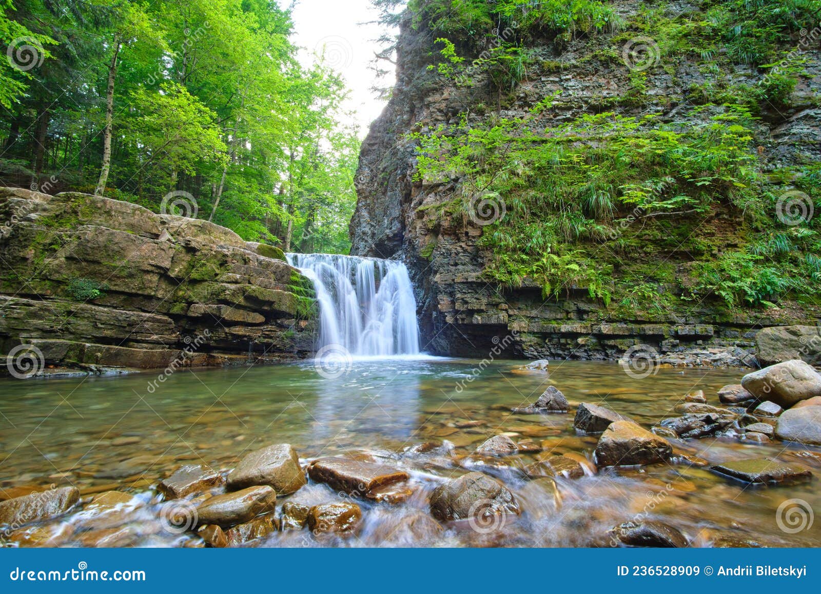 Waterfall on Mountain River with White Foamy Water Falling Down from