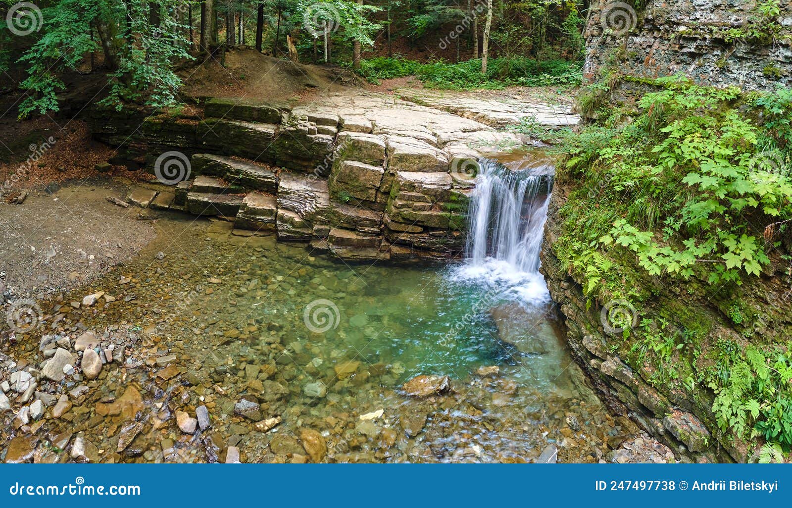 Waterfall on Mountain River with White Foamy Water Falling Down from