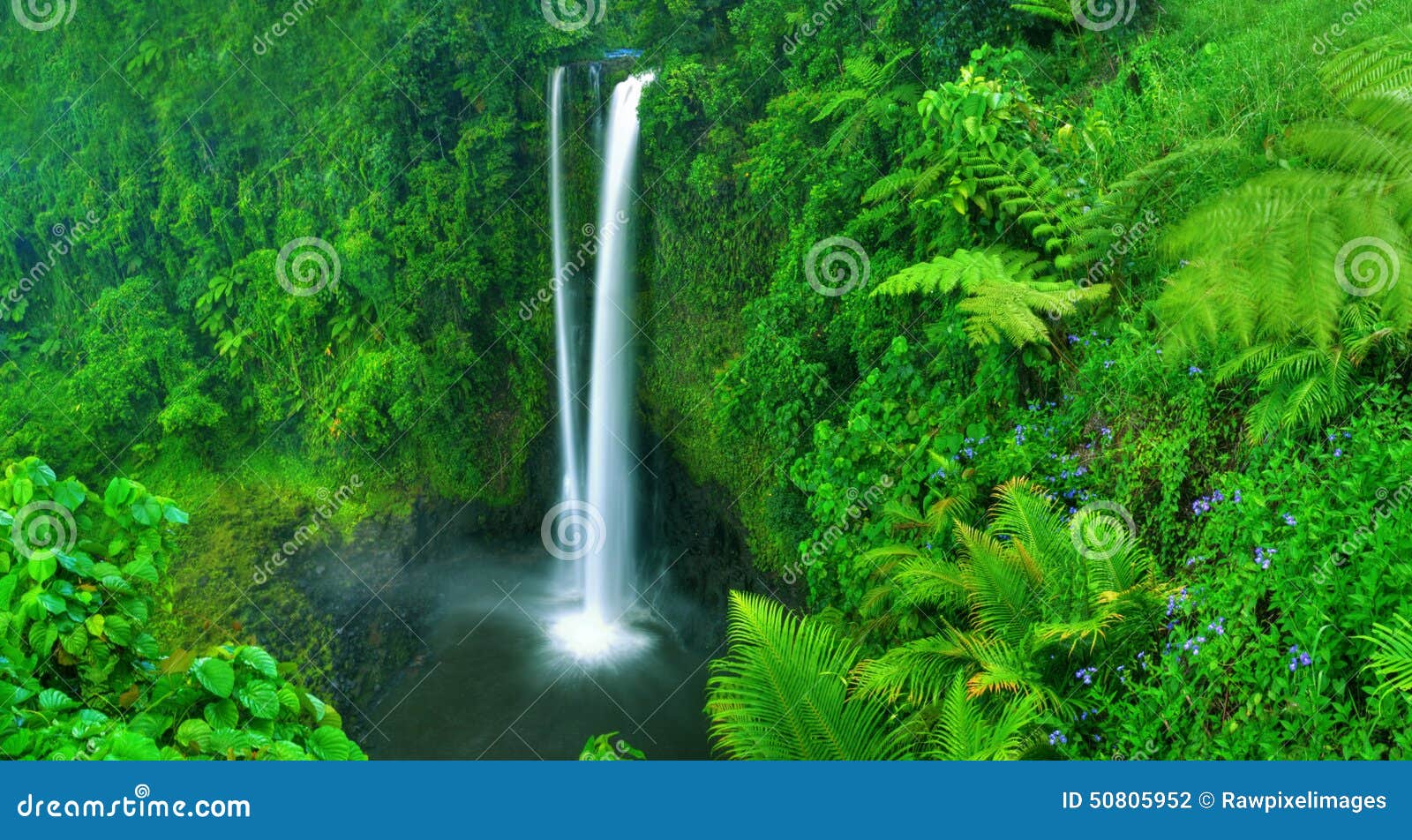 waterfall nature fresh green moisture concept
