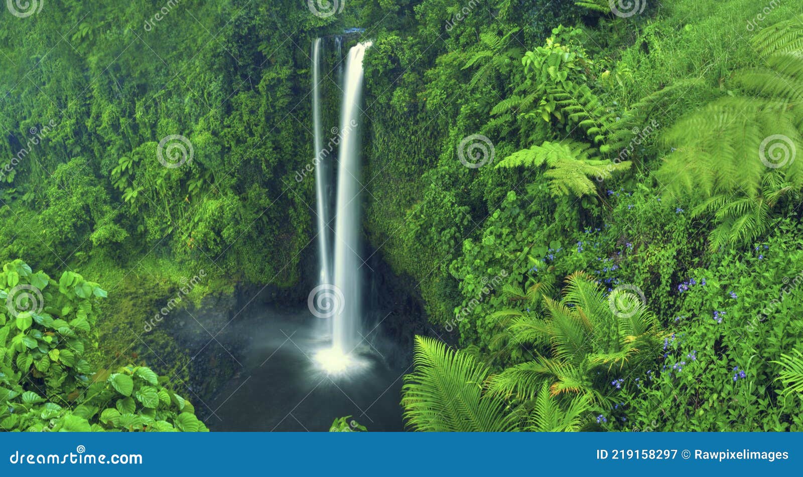 waterfall nature scenics waterfall forest concept