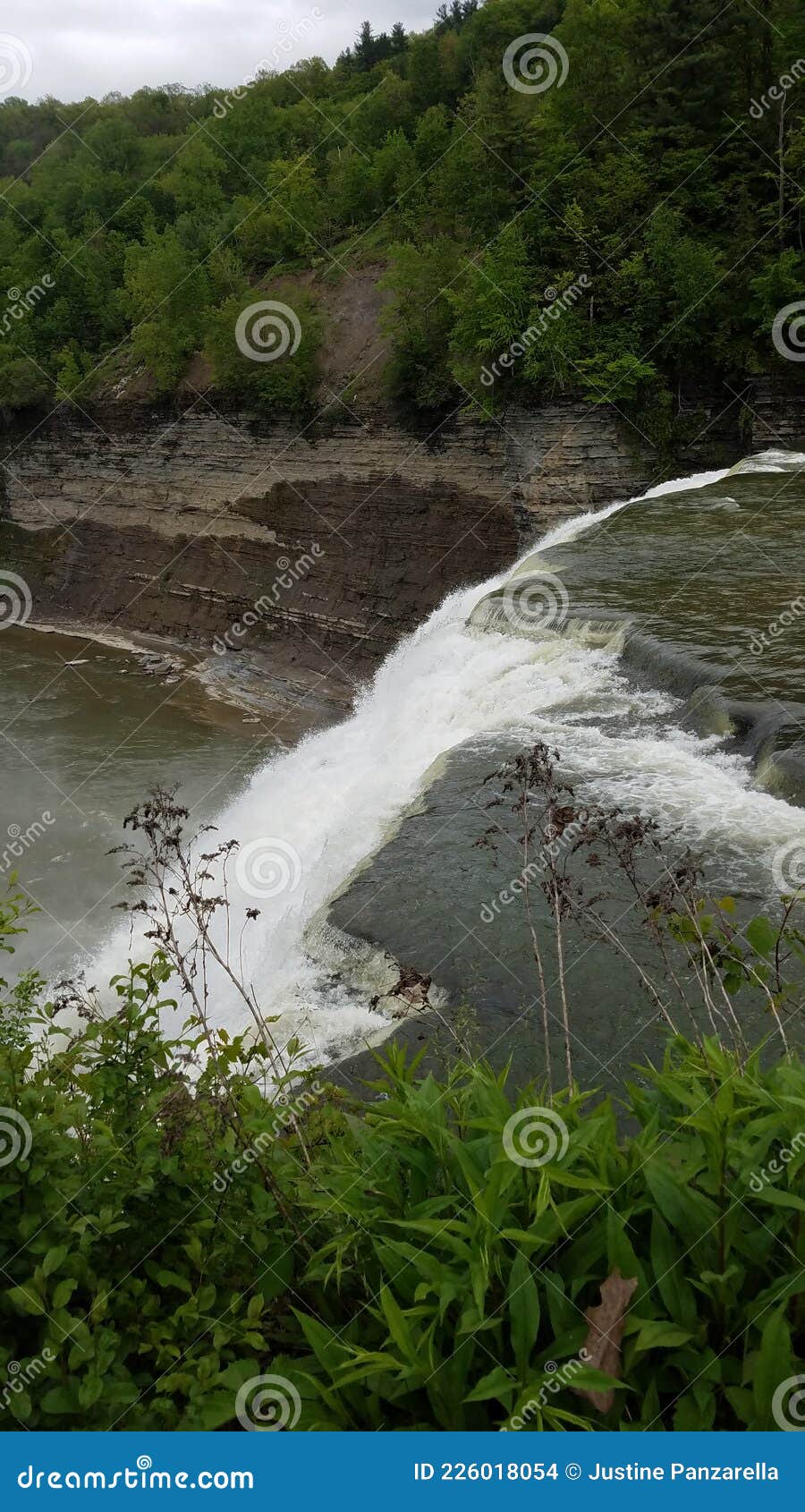 Are Dogs Allowed At Akron Falls Park