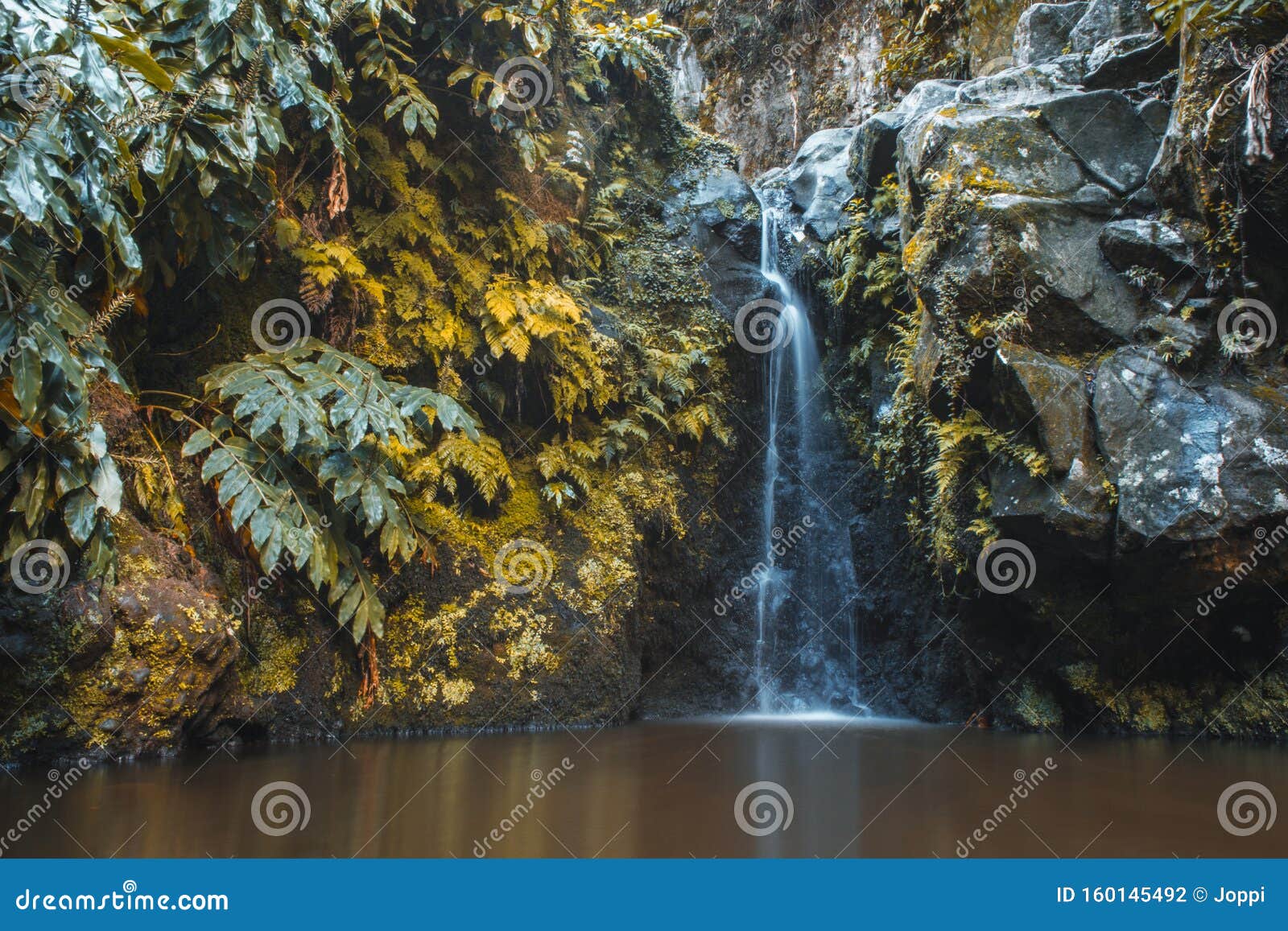 waterfall at parque natural da ribeira dos caldeiroes, sao miguel, azores, portugal