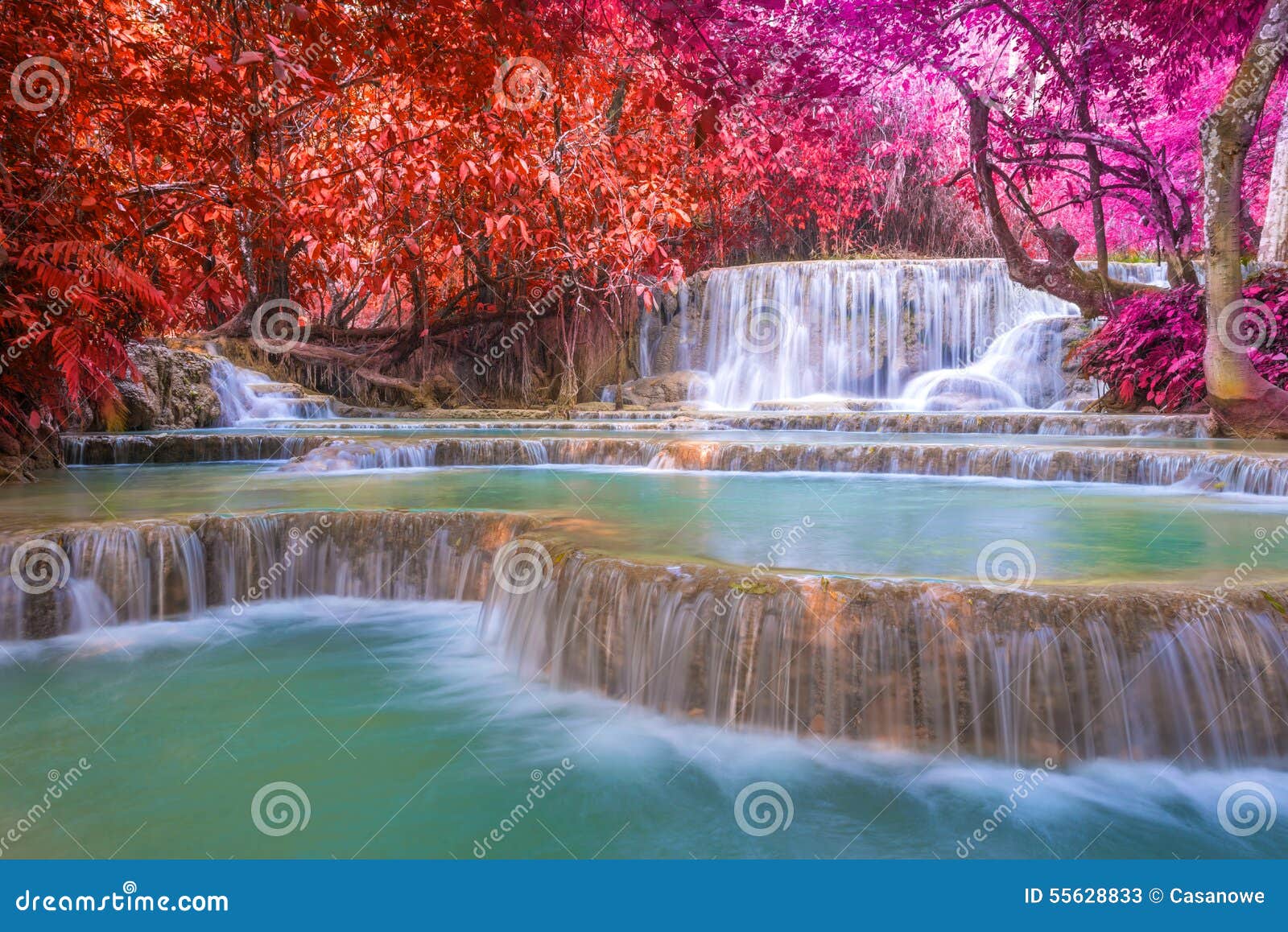 waterfall in rain forest (tat kuang si waterfalls