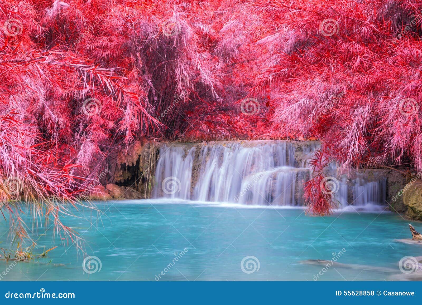 waterfall in rain forest (tat kuang si waterfalls