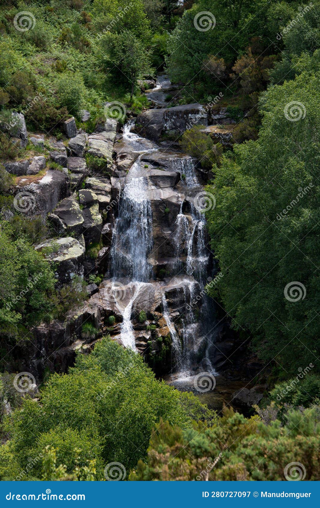 waterfall in the rain forest. tree fern waterfall tropical rain forest paradise. fervenza de casariÃ±os.fervenza da freixa