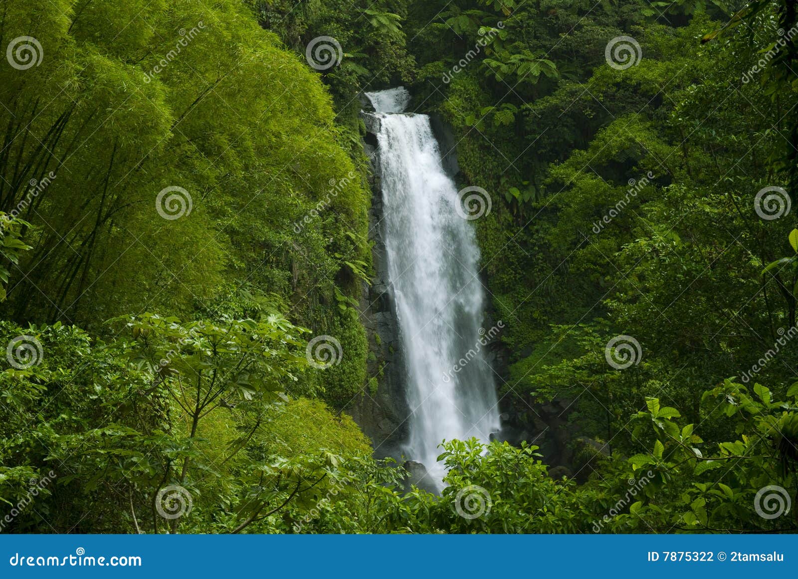 waterfall in rainforest jungle