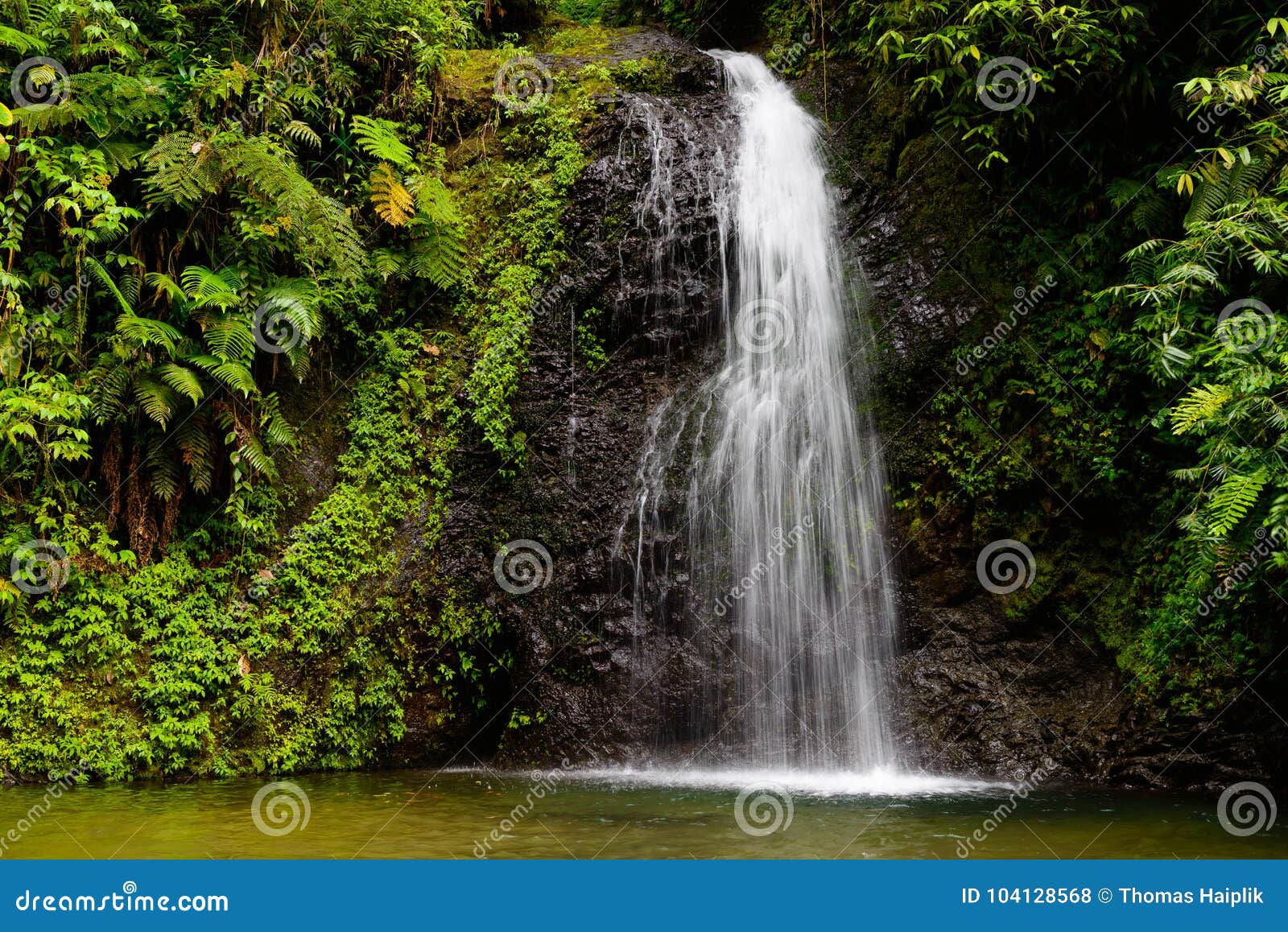 waterfall in the rainforest of martinique