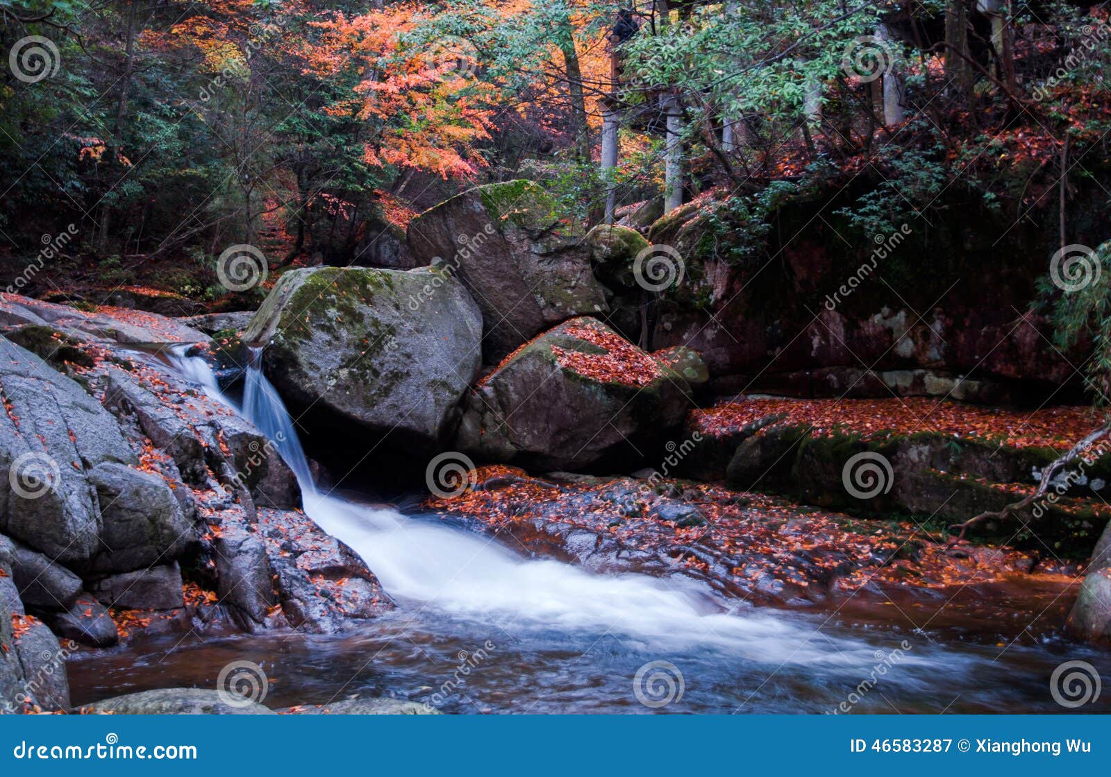 waterfall and red autumn leaves