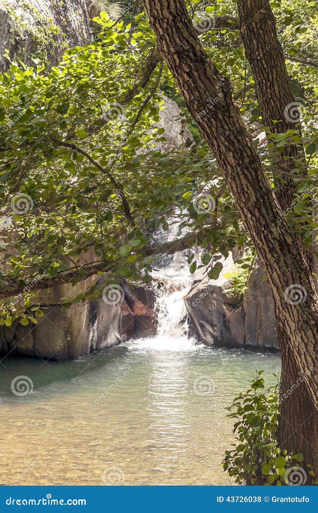 Waterfall in the River of Honey Stock Photo Image of south, purity