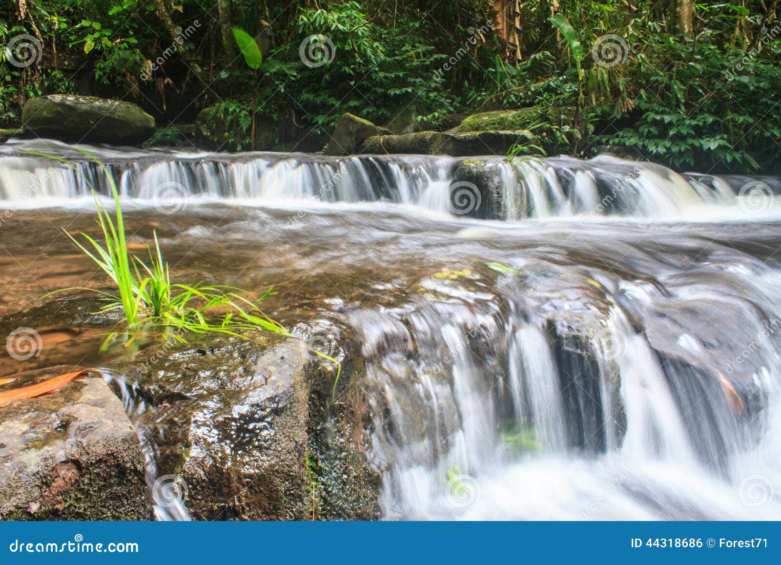 Waterfall And Rocks Covered With Moss Stock Photo Image Of Leaf