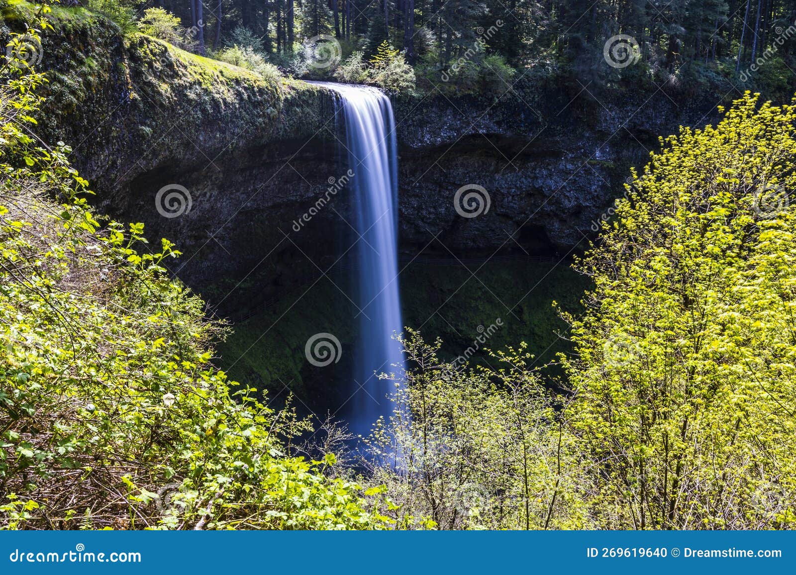 Waterfall Scenery in Silver Falls State Park, Oregon . Stock Photo