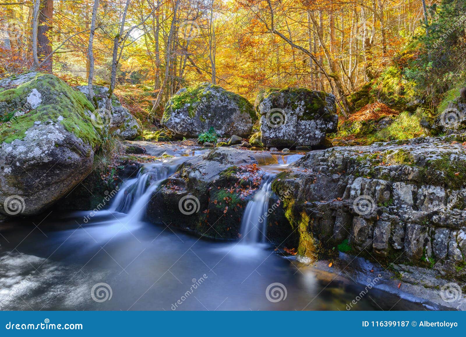 sierra cebollera natural park, la rioja, spain