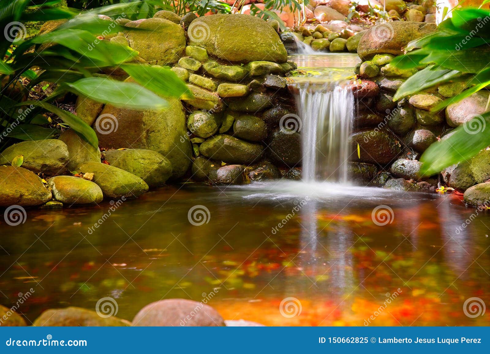 Small garden ponds and waterfalls